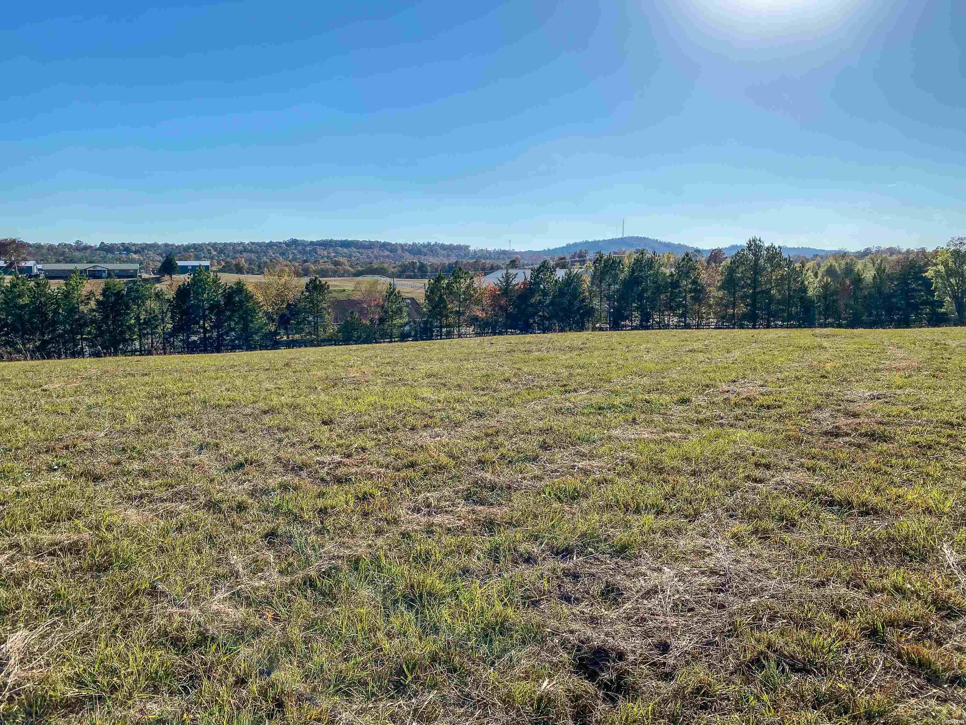 3109 Sunshine Road Property Photo 9