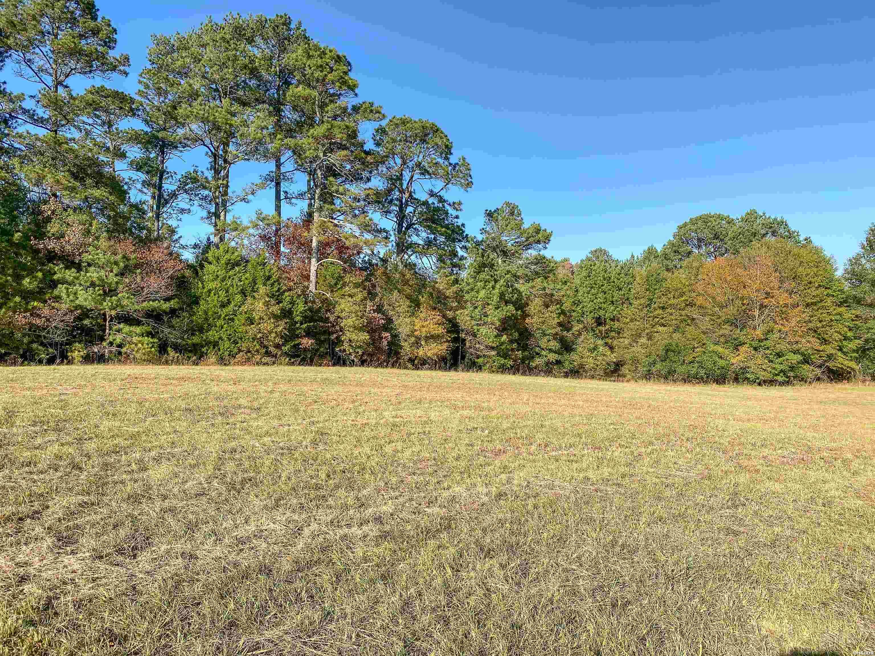 3109 Sunshine Road Property Photo 14
