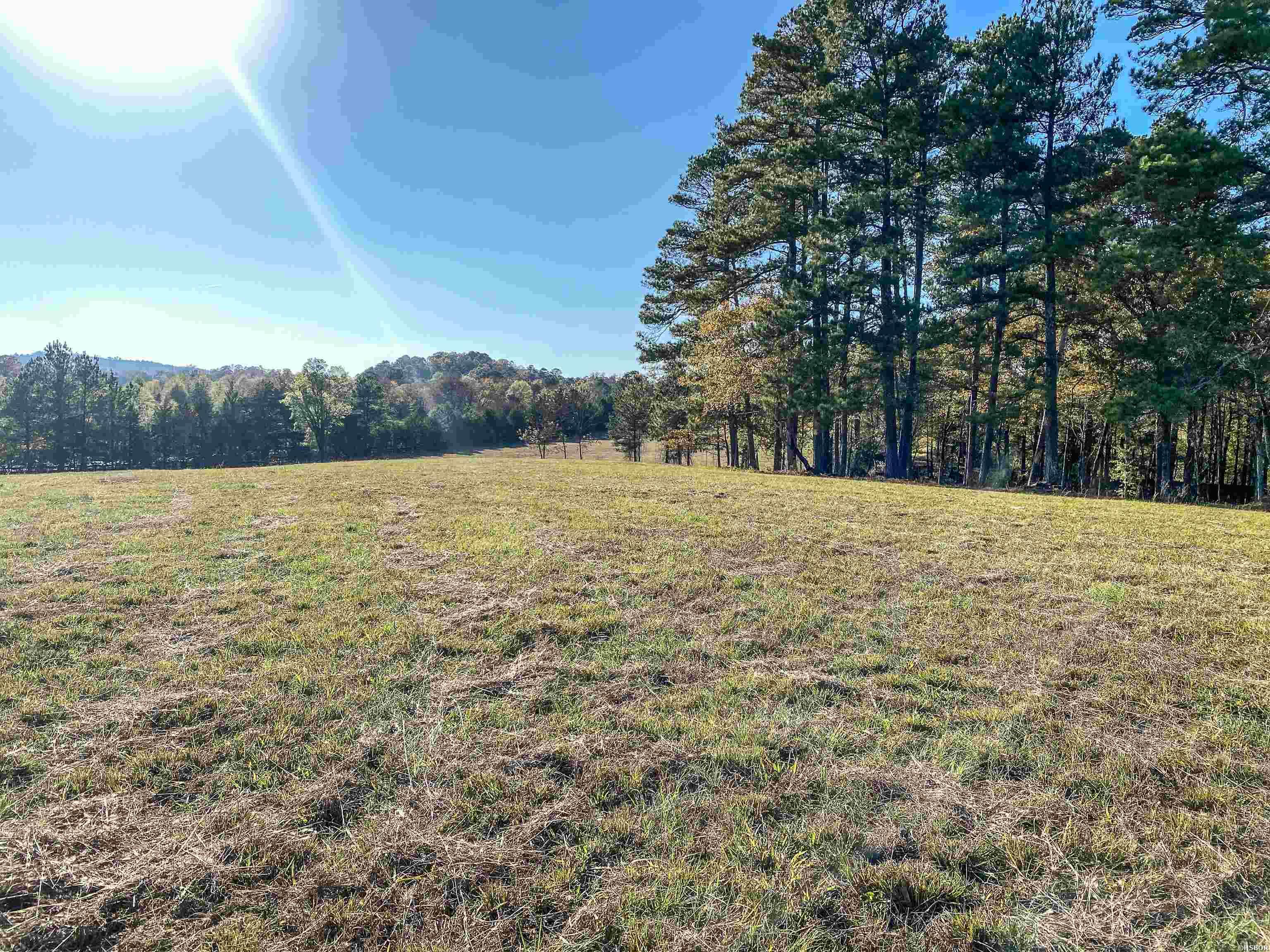 3109 Sunshine Road Property Photo 3