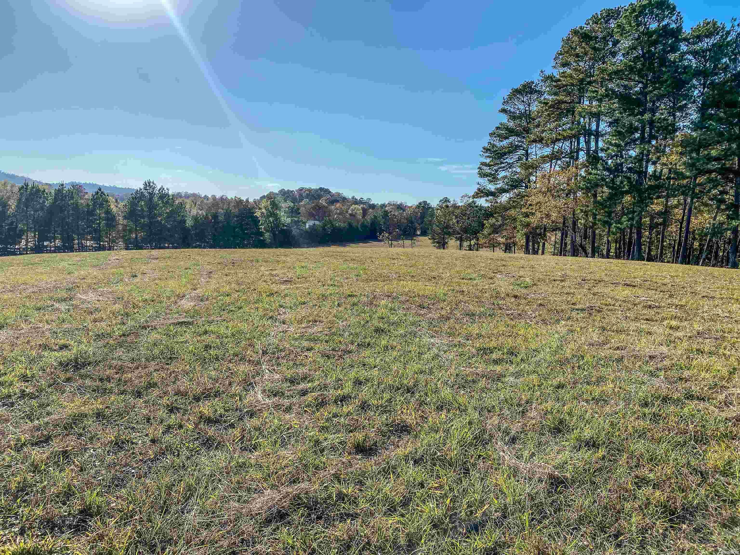 3109 Sunshine Road Property Photo 4