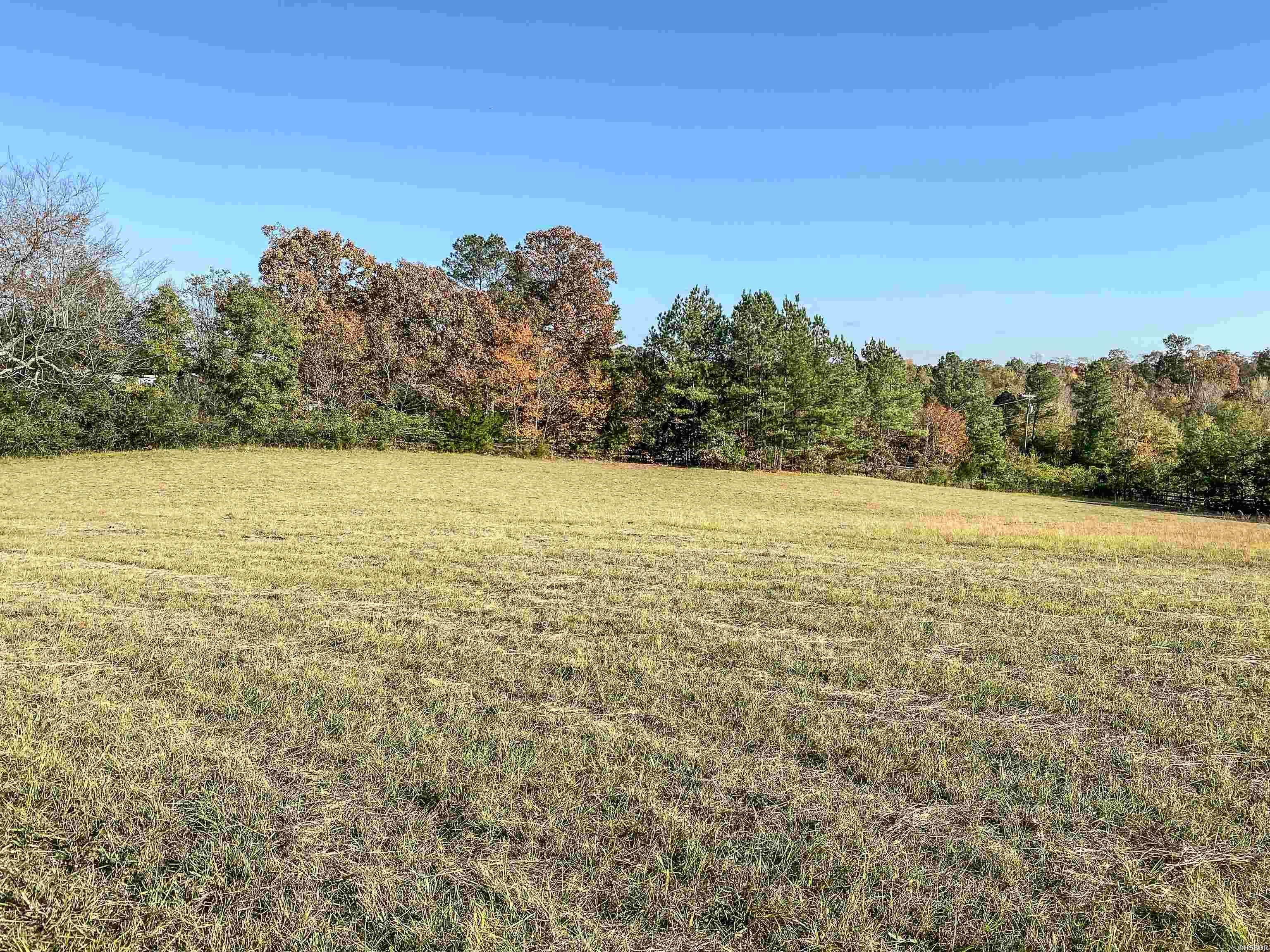 3109 Sunshine Road Property Photo 5
