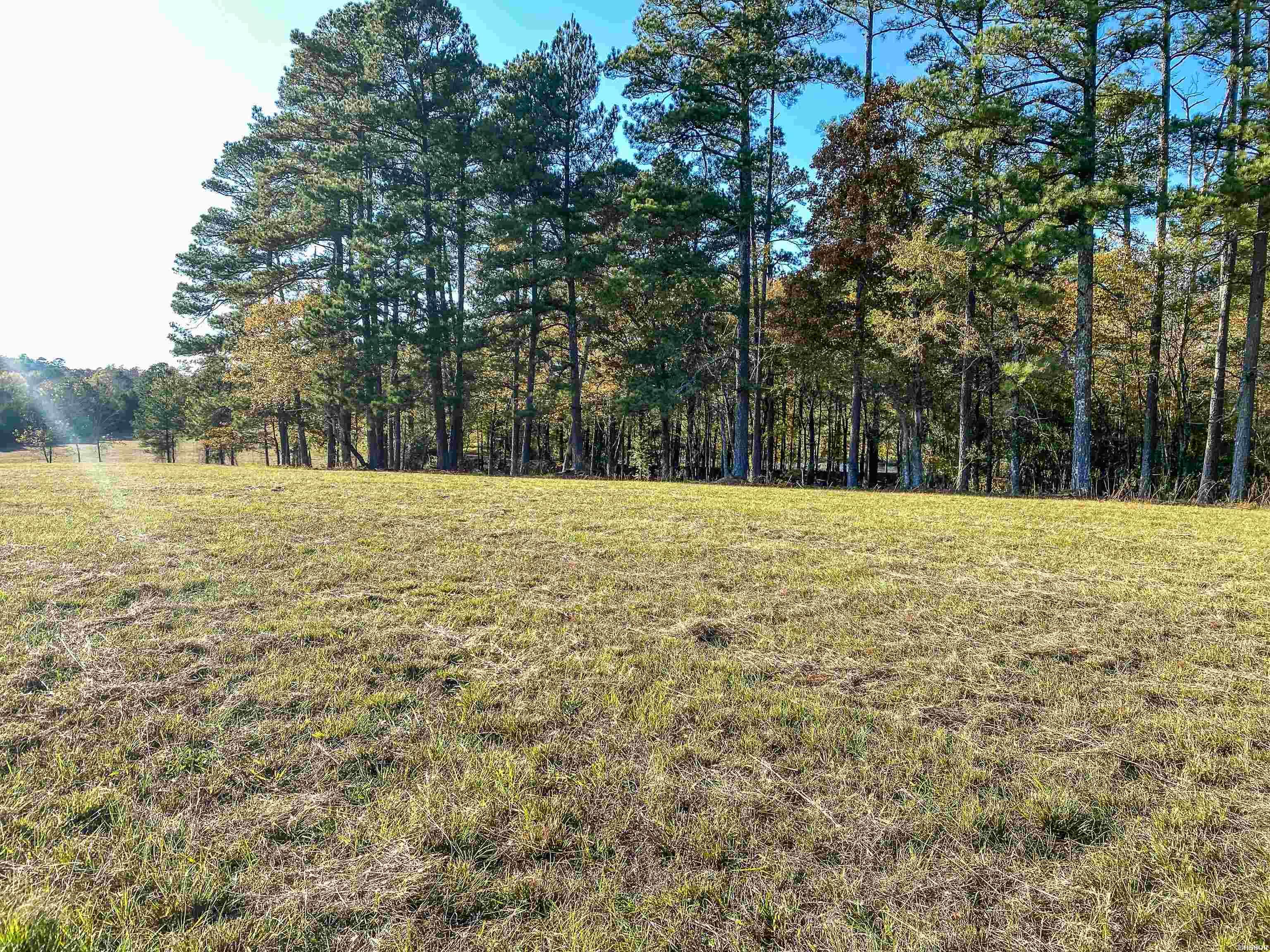 3109 Sunshine Road Property Photo 8