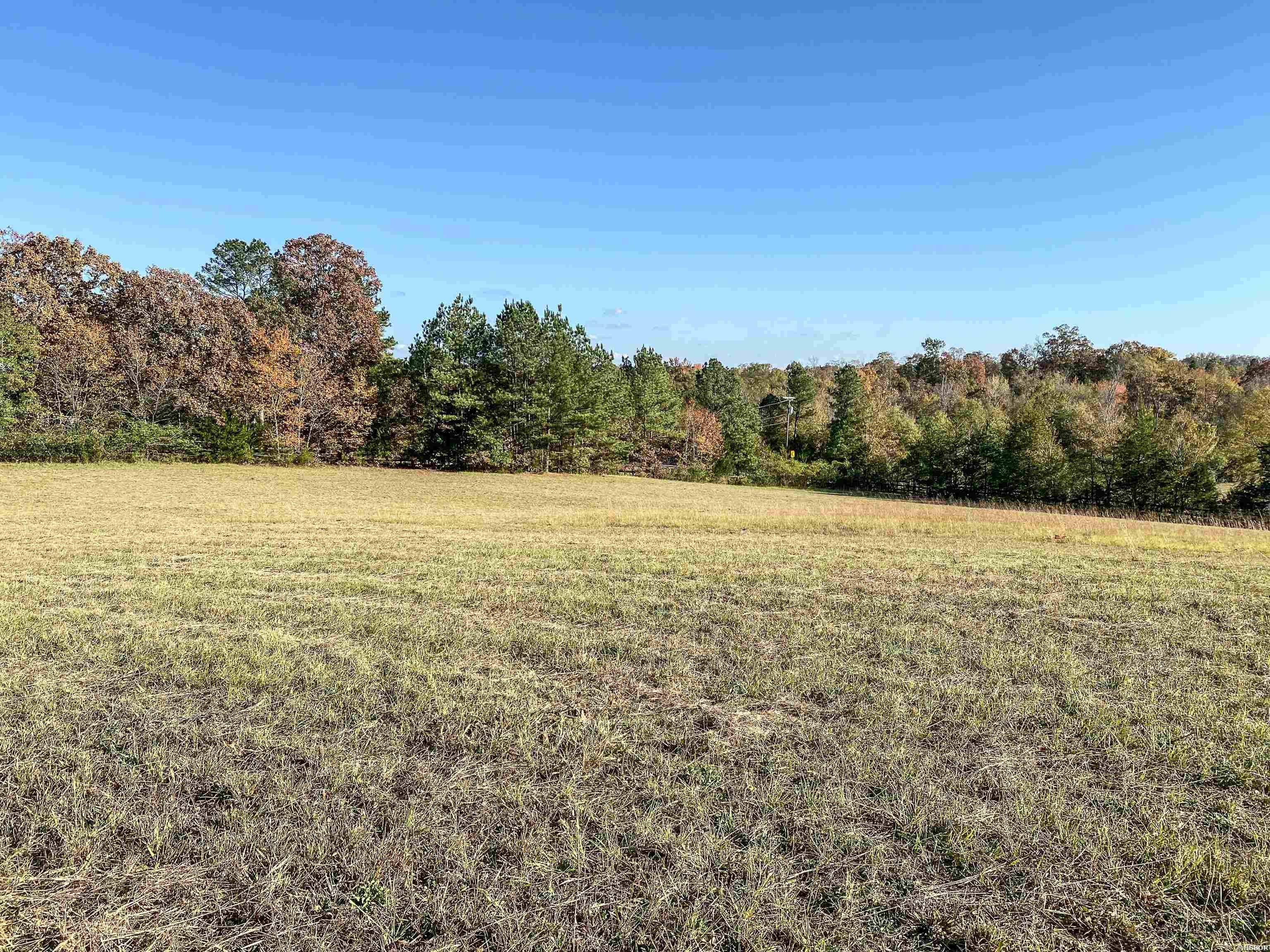 3109 Sunshine Road Property Photo 12