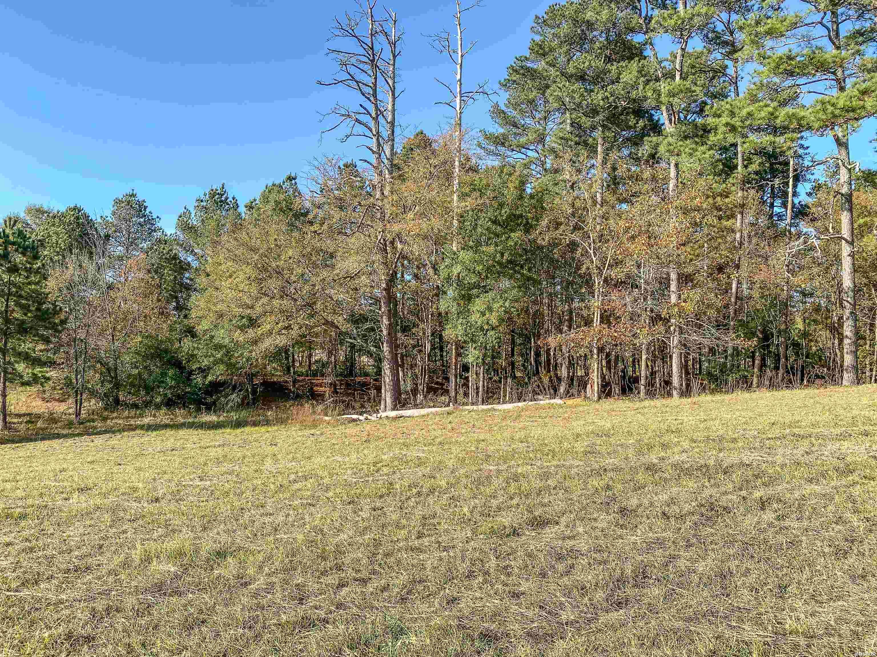 3109 Sunshine Road Property Photo 16