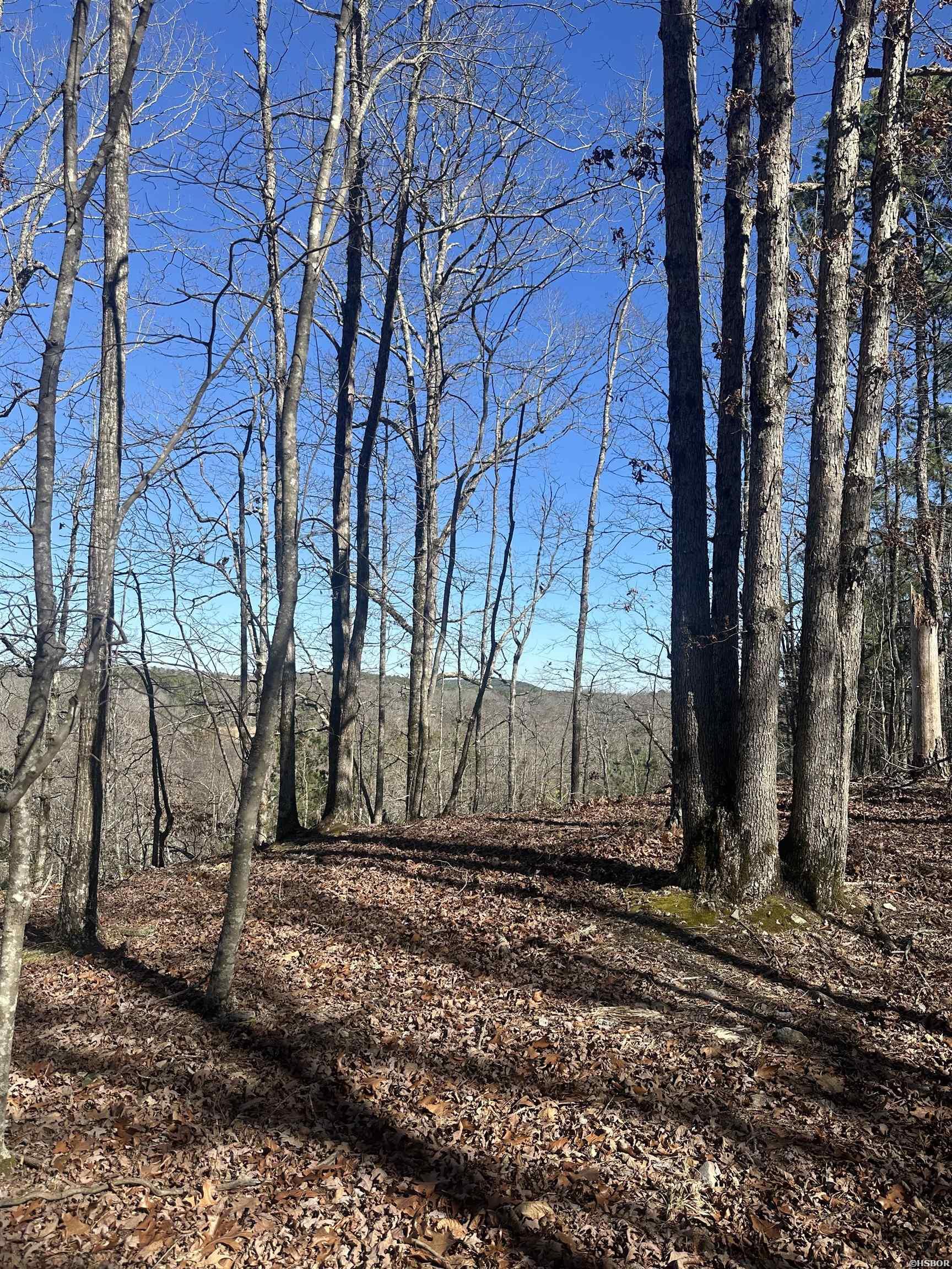 00m Walnut Valley Road Property Photo 1