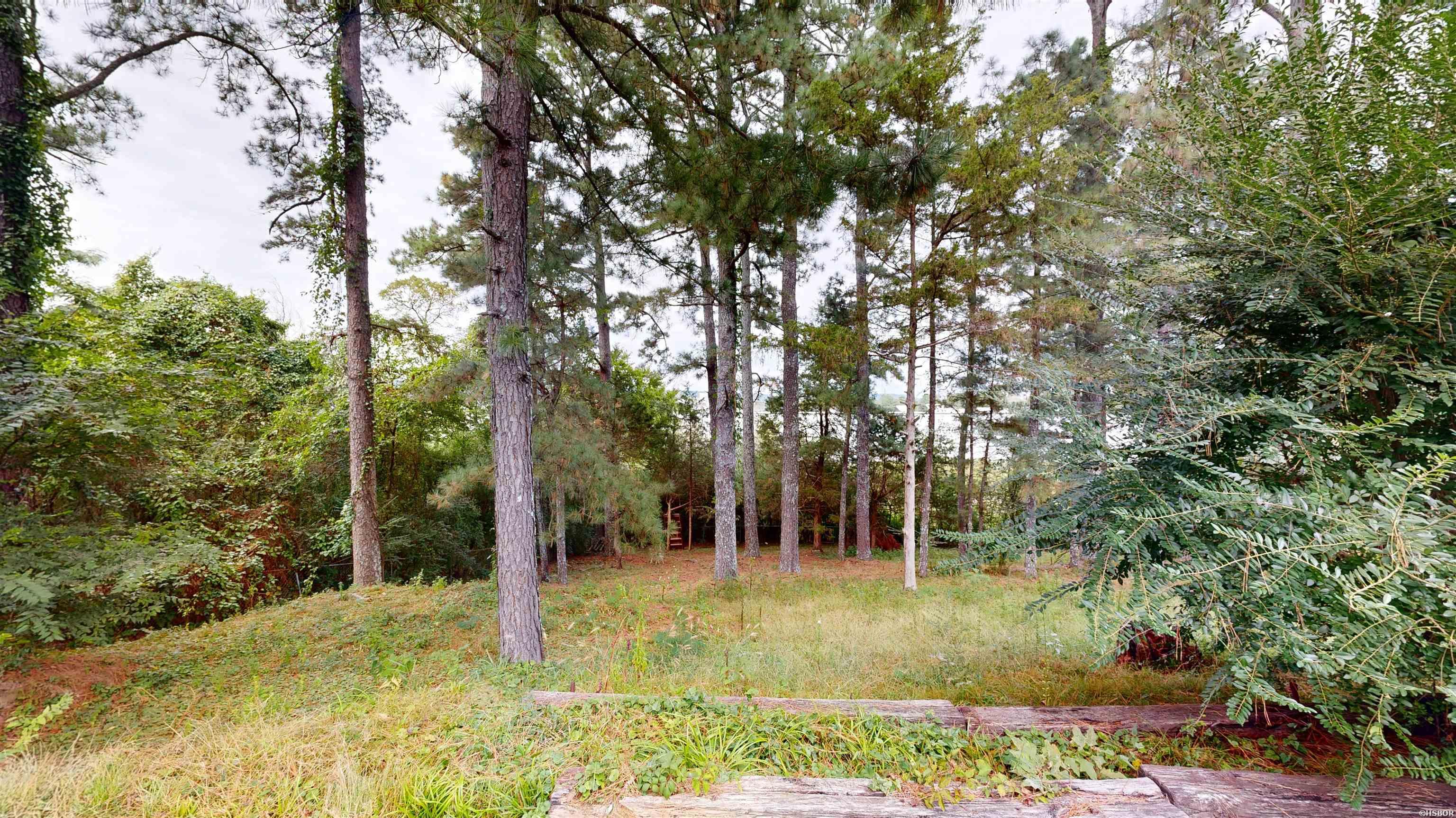 209 Mcmahan Drive Property Photo 36