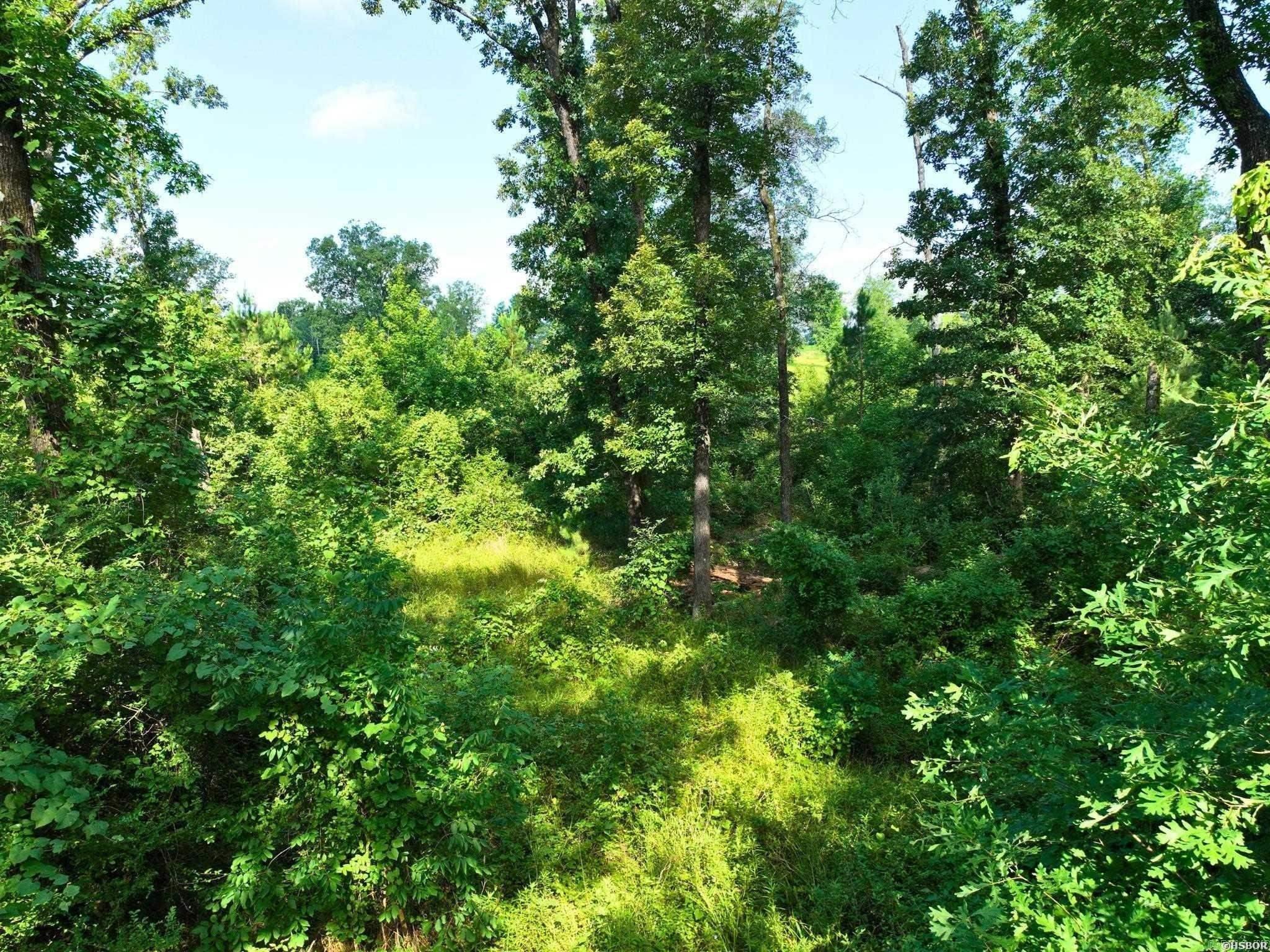 6973 Highway 7 Property Photo 37
