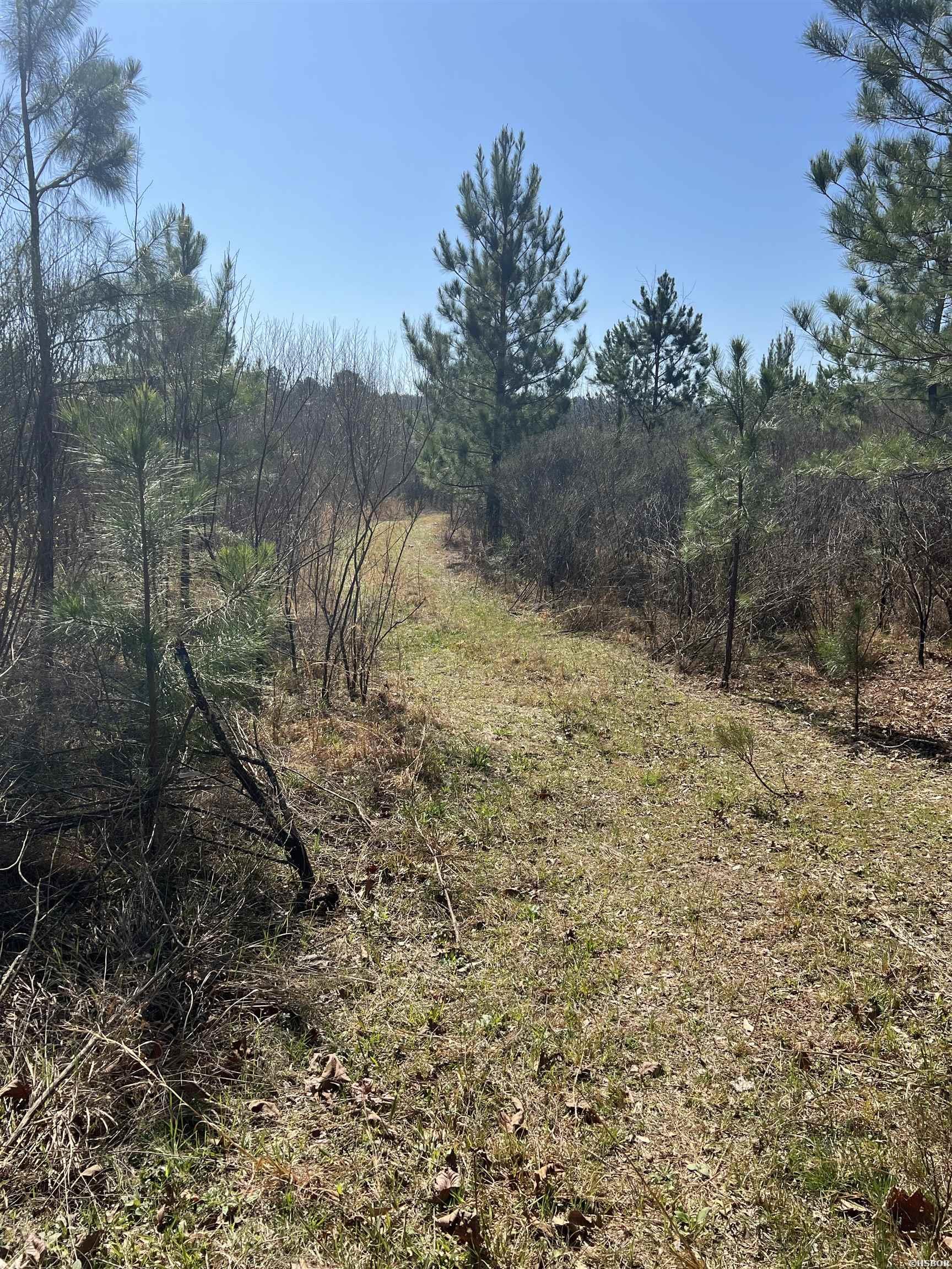 Xx John Ashley Property Photo 3
