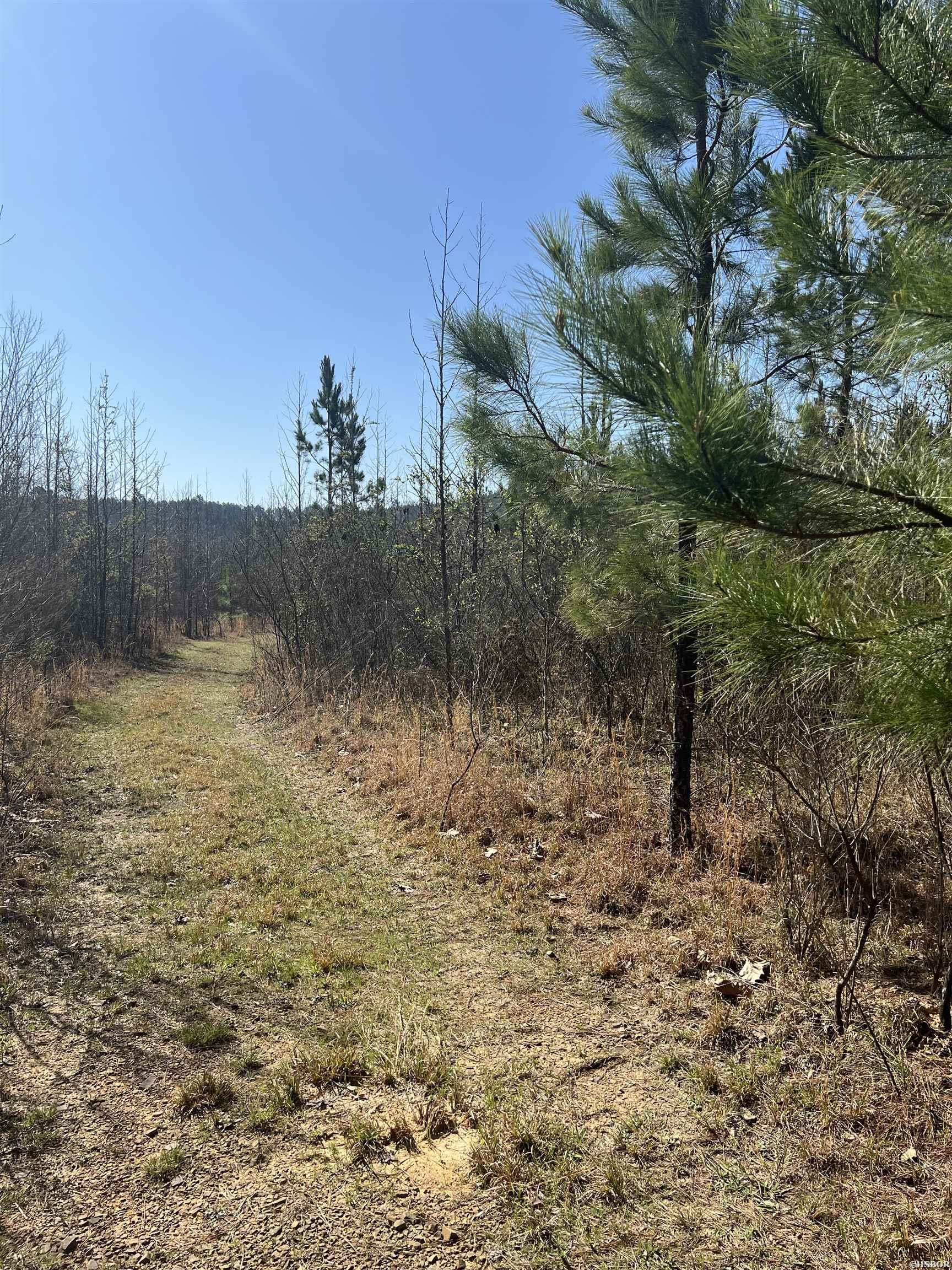 Xx John Ashley Property Photo 4