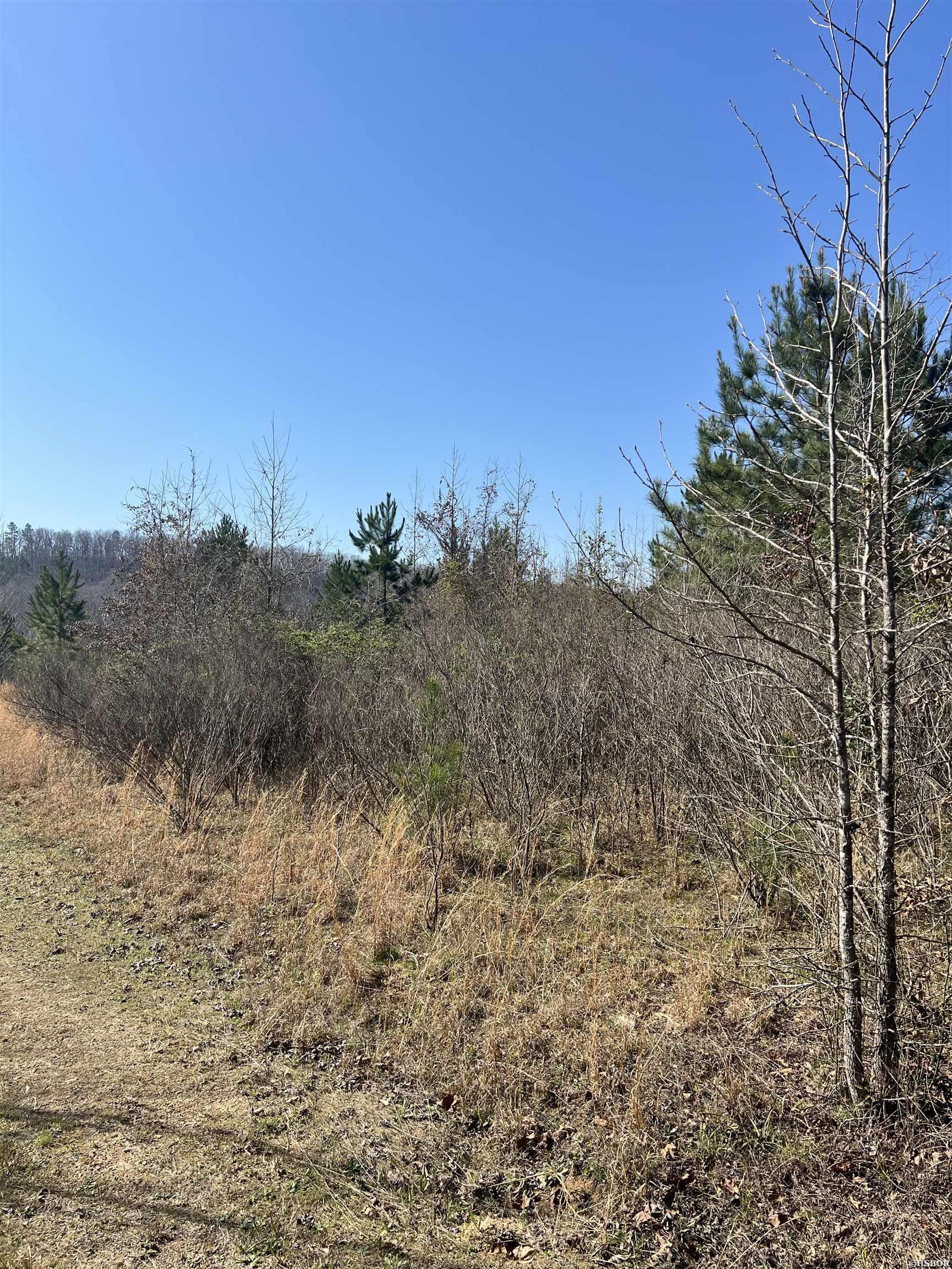 Xx John Ashley Property Photo 7