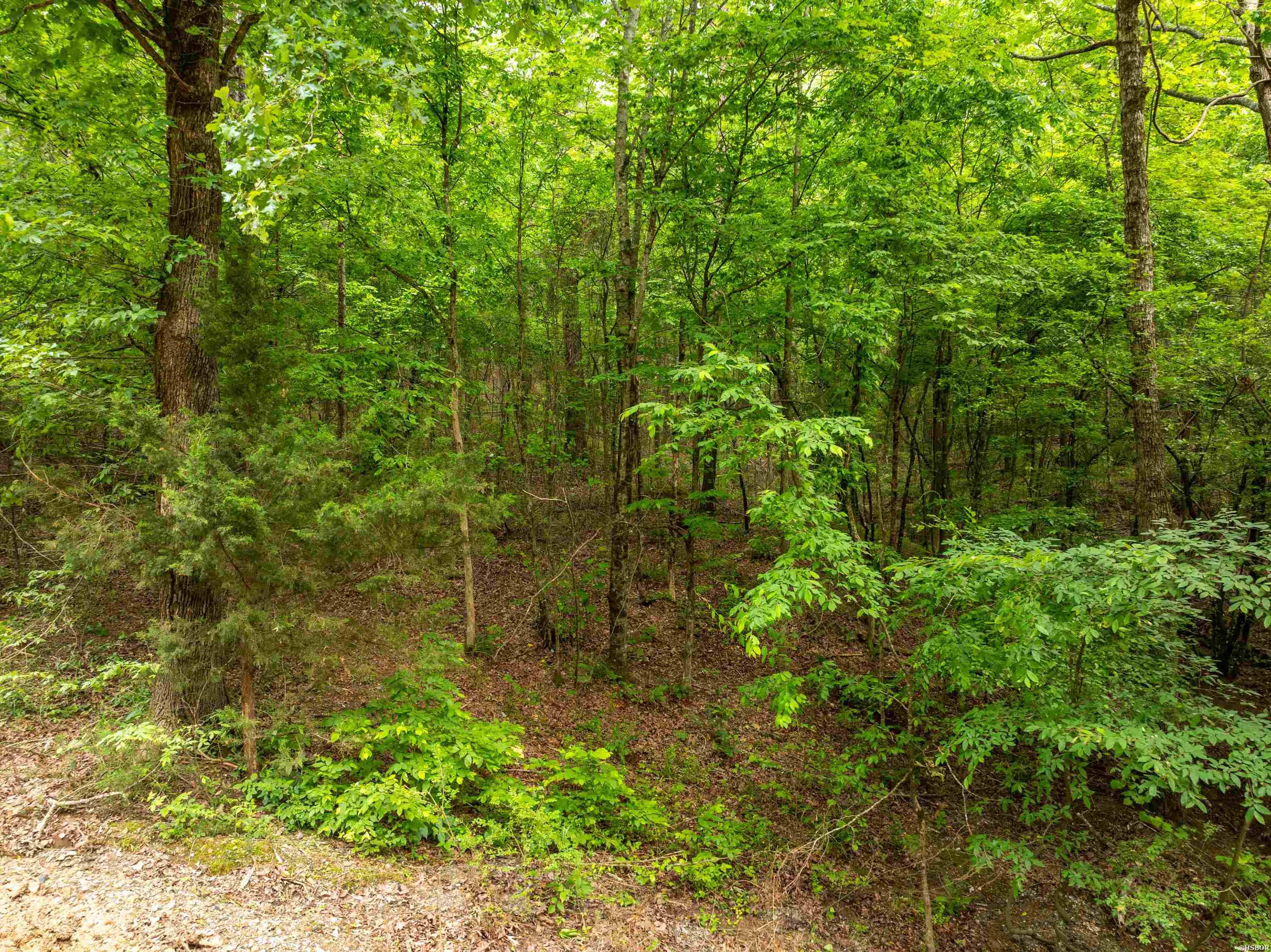 Tbd Cross Creek Road Property Photo 7
