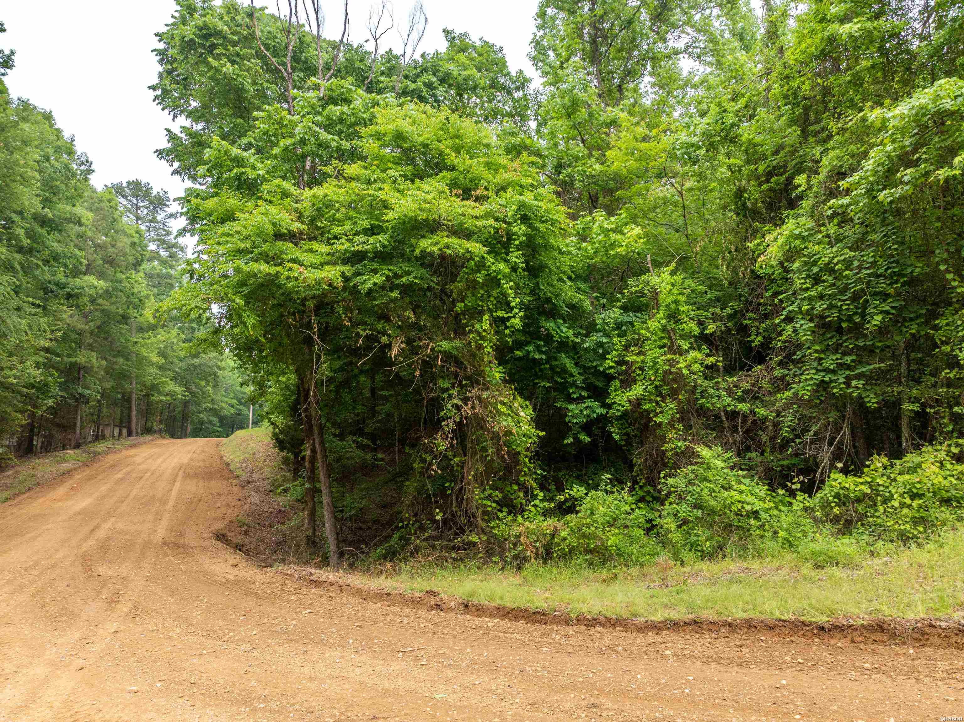 Tbd Cross Creek Road Property Photo 9