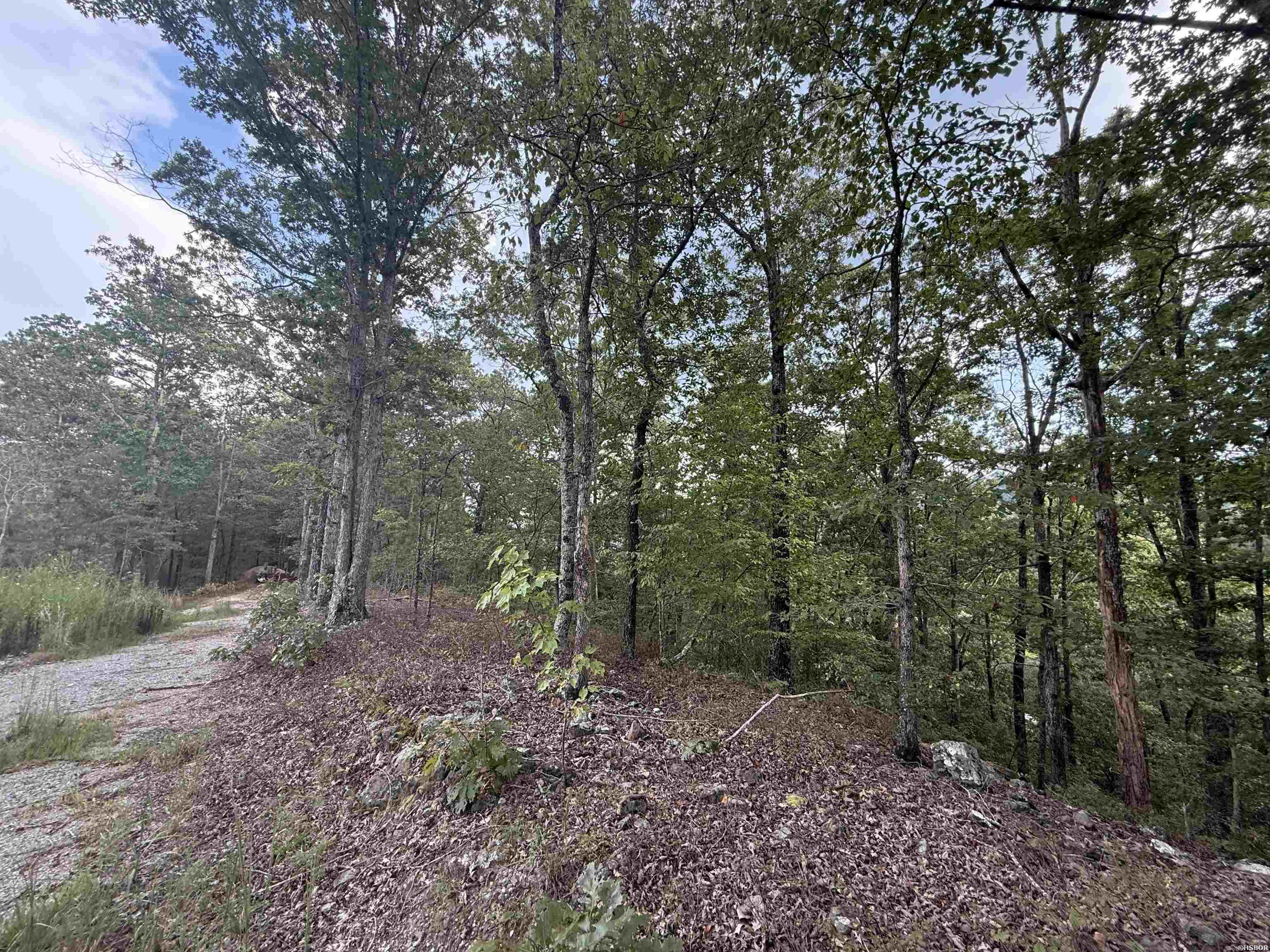 321 Plata Hollow Property Photo 1
