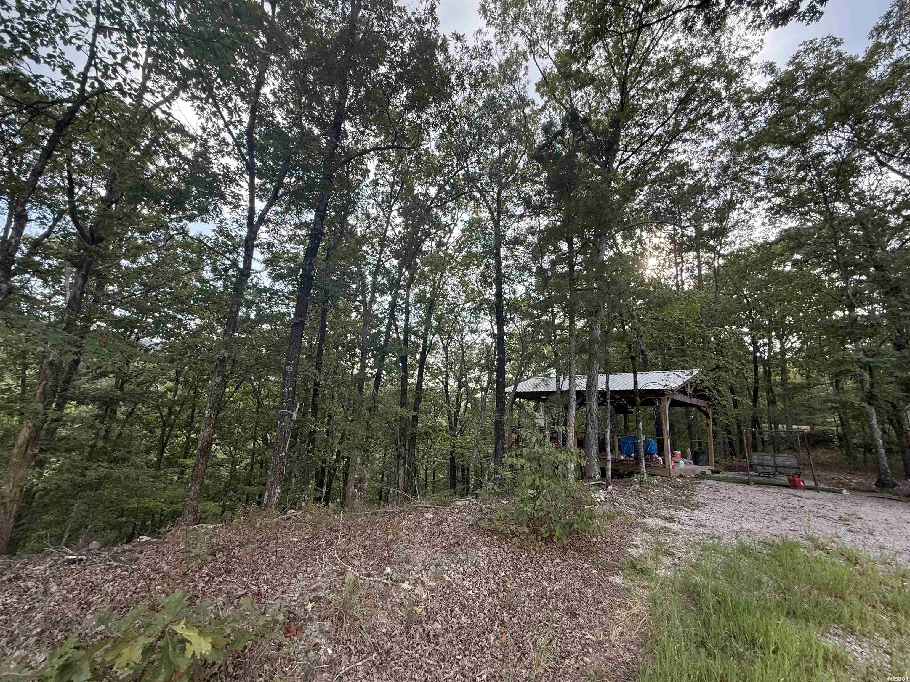 321 Plata Hollow Property Photo 3