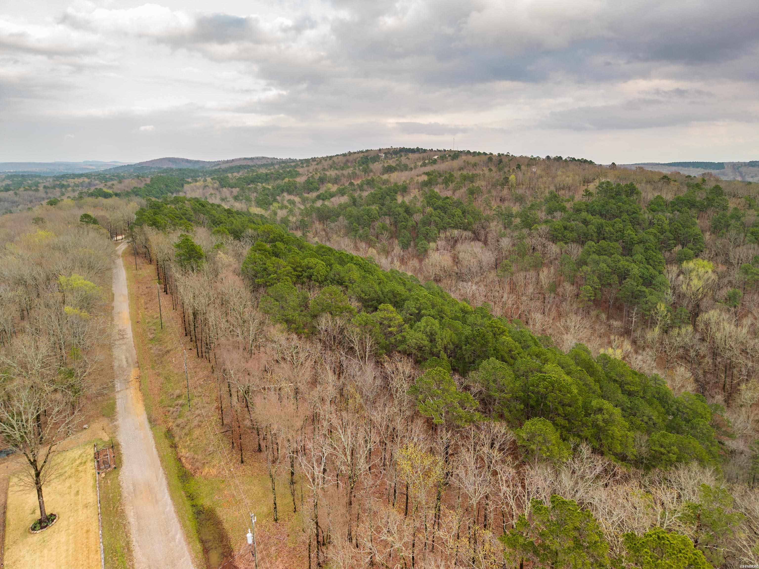 000 Hickory Hill Property Photo 17