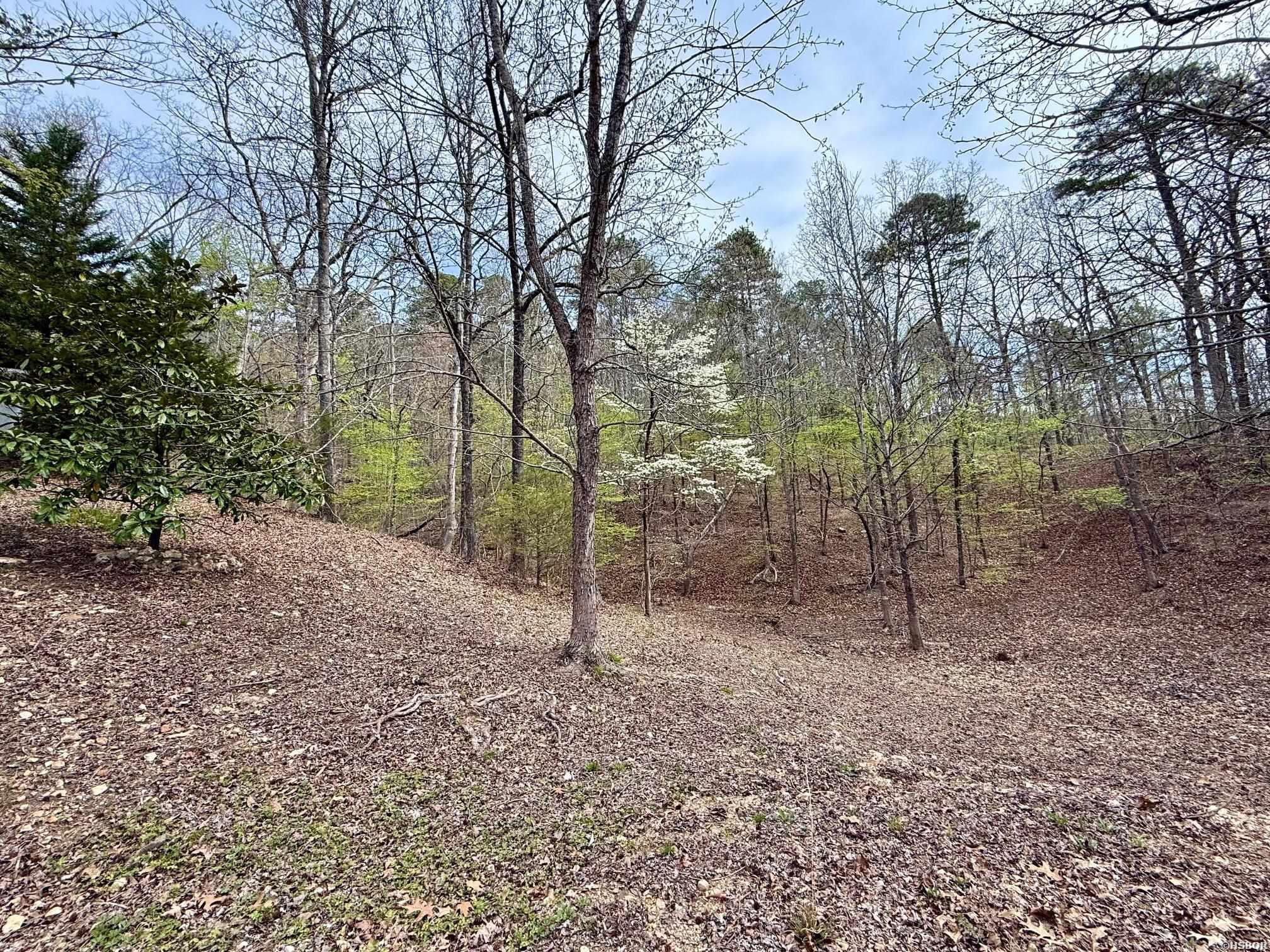 280 Lost End Trail Property Photo 50