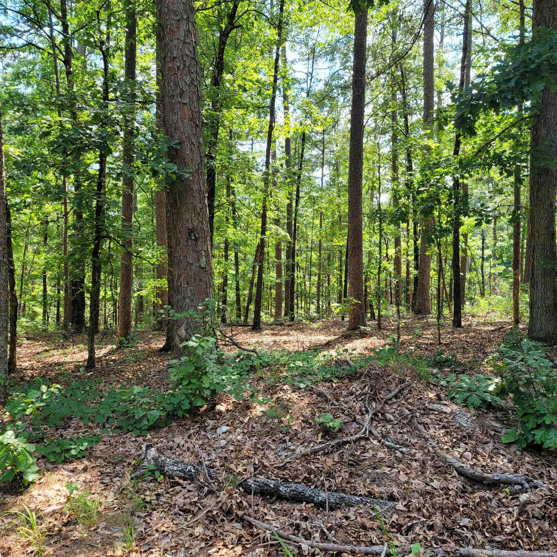 Xxx Extrano Circle Property Photo 1