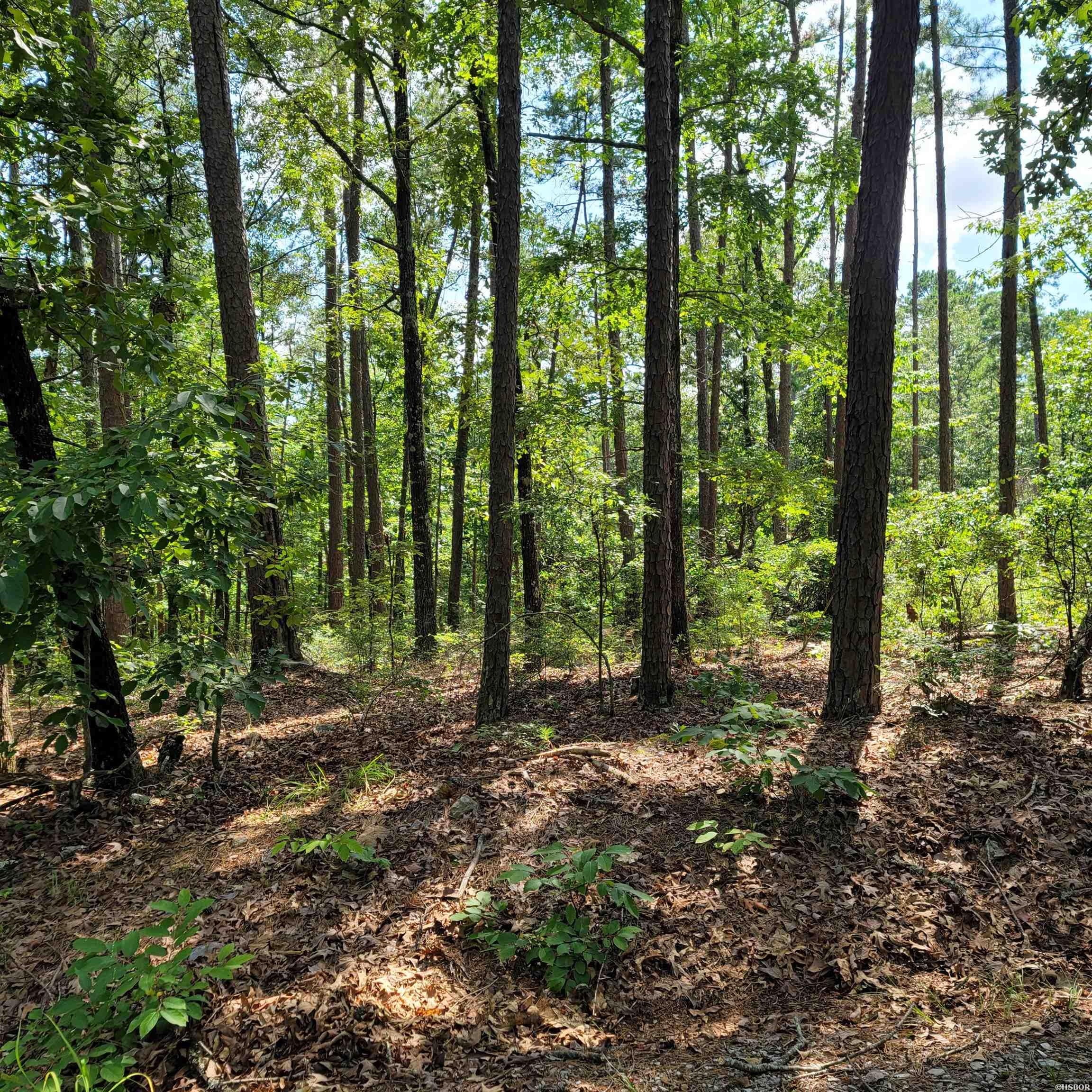 Xxx Extrano Circle Property Photo 2