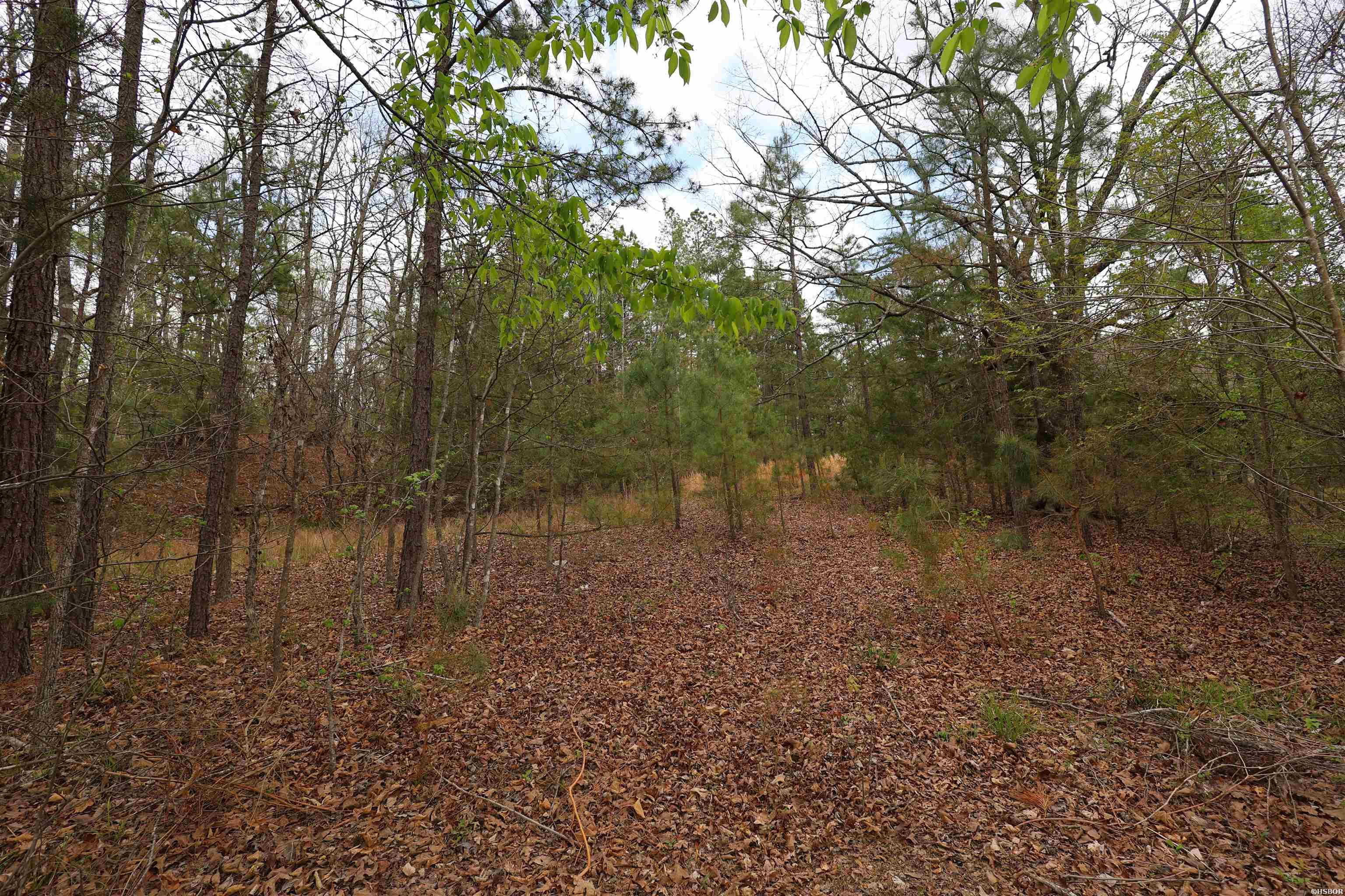 5272 & 5280 Hwy 270 Property Photo 37