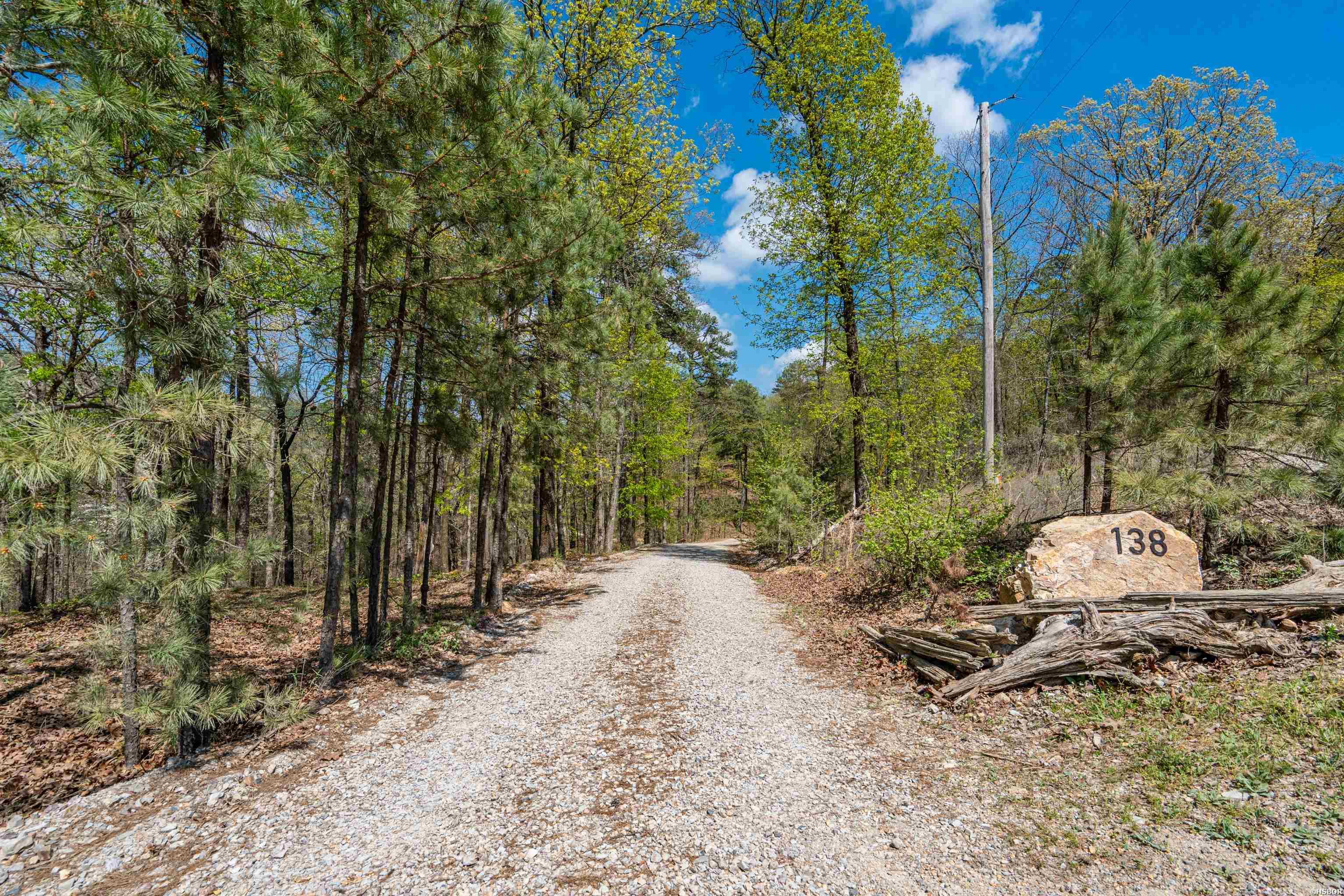138 Peaceful Valley Trail Property Photo 3