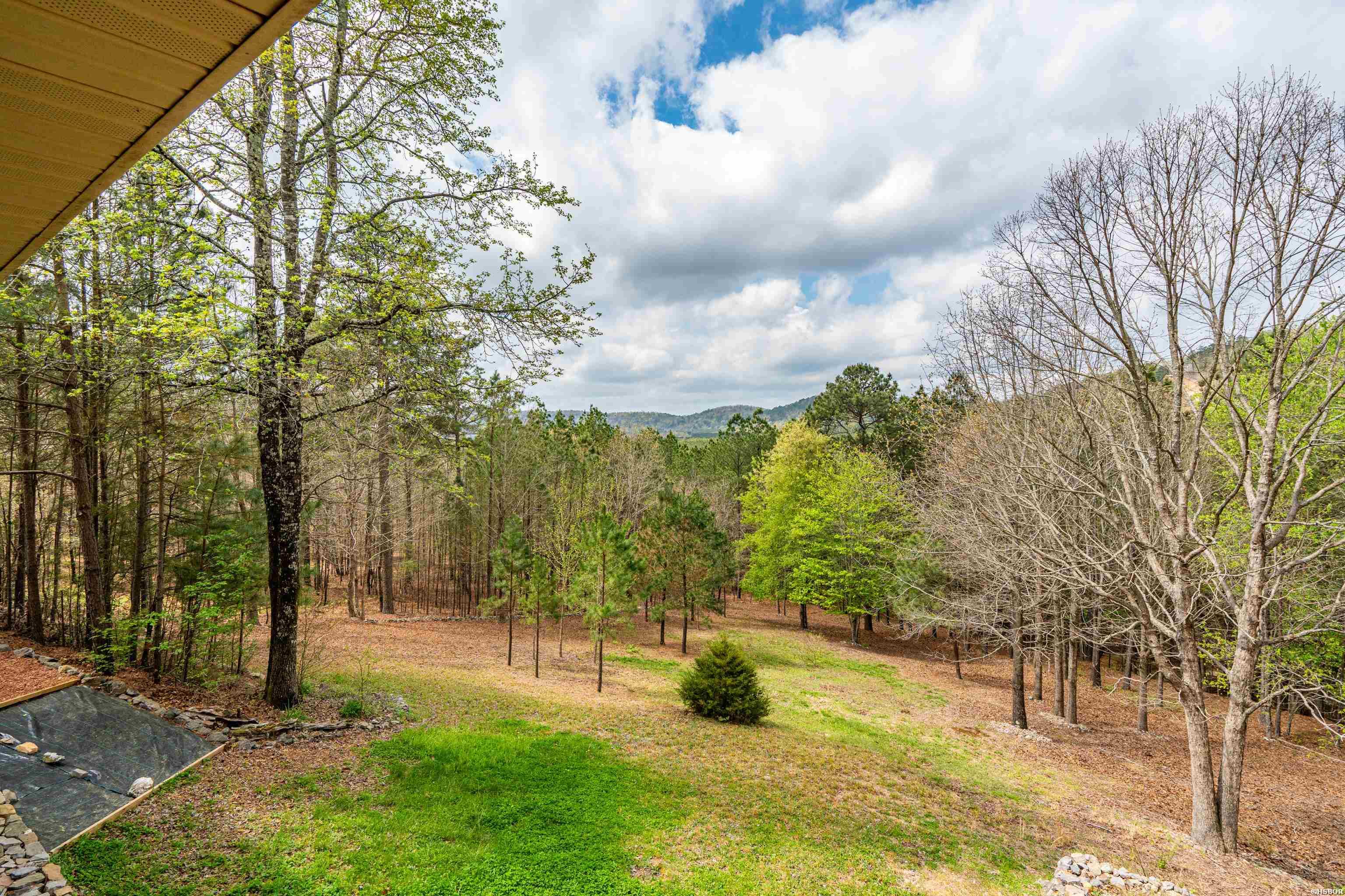 138 Peaceful Valley Trail Property Photo 41