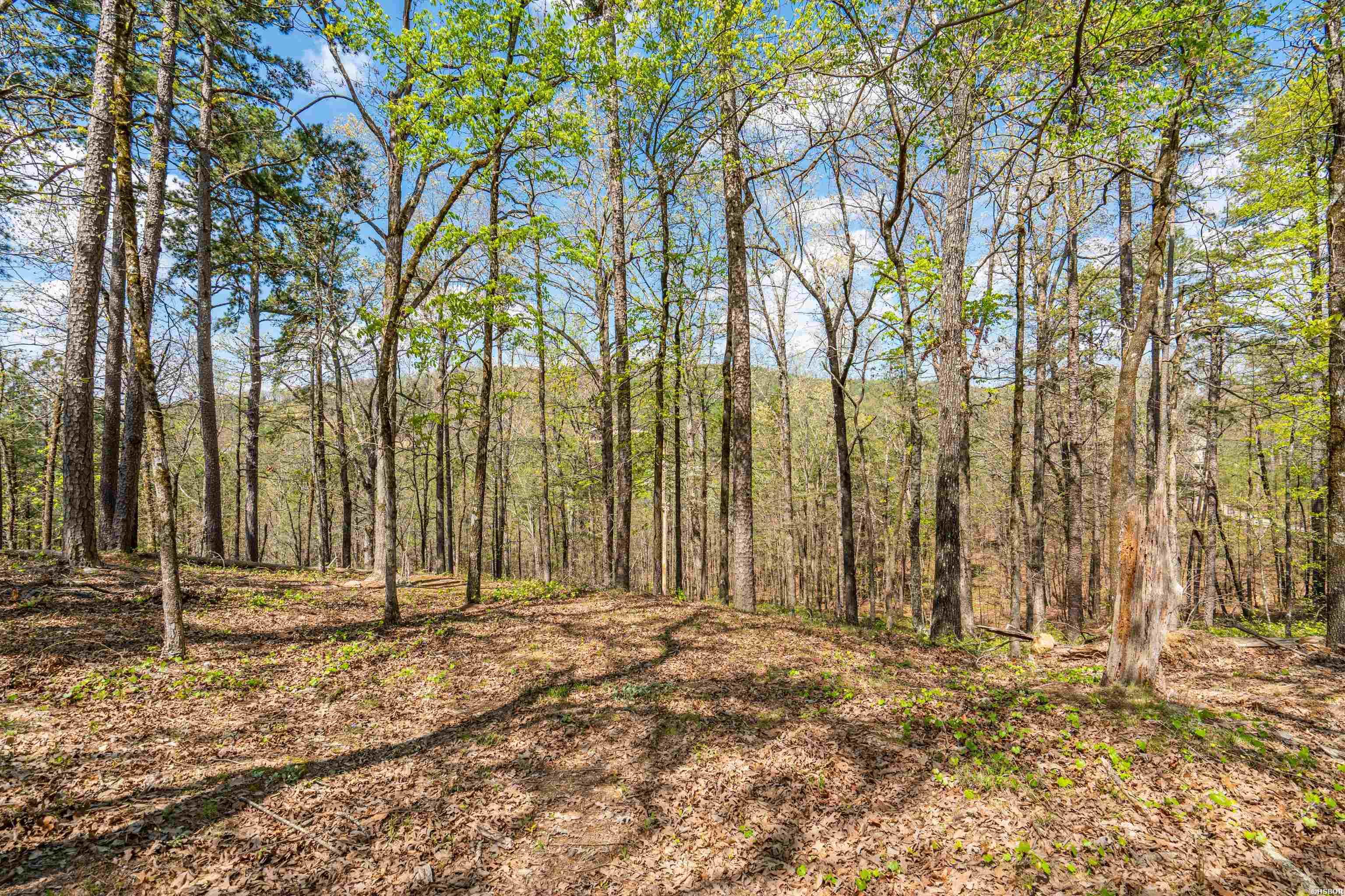 138 Peaceful Valley Trail Property Photo 42
