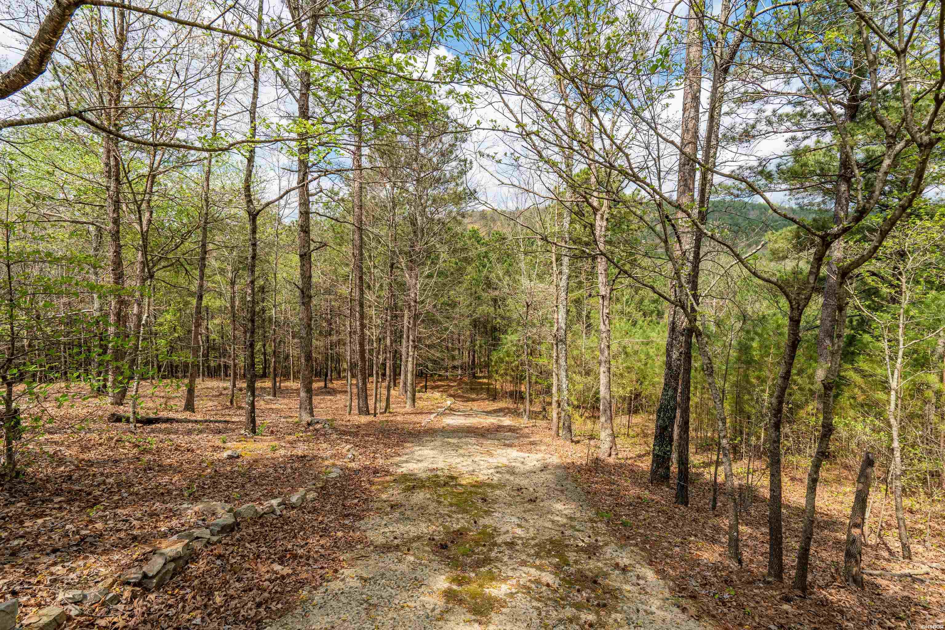 138 Peaceful Valley Trail Property Photo 44