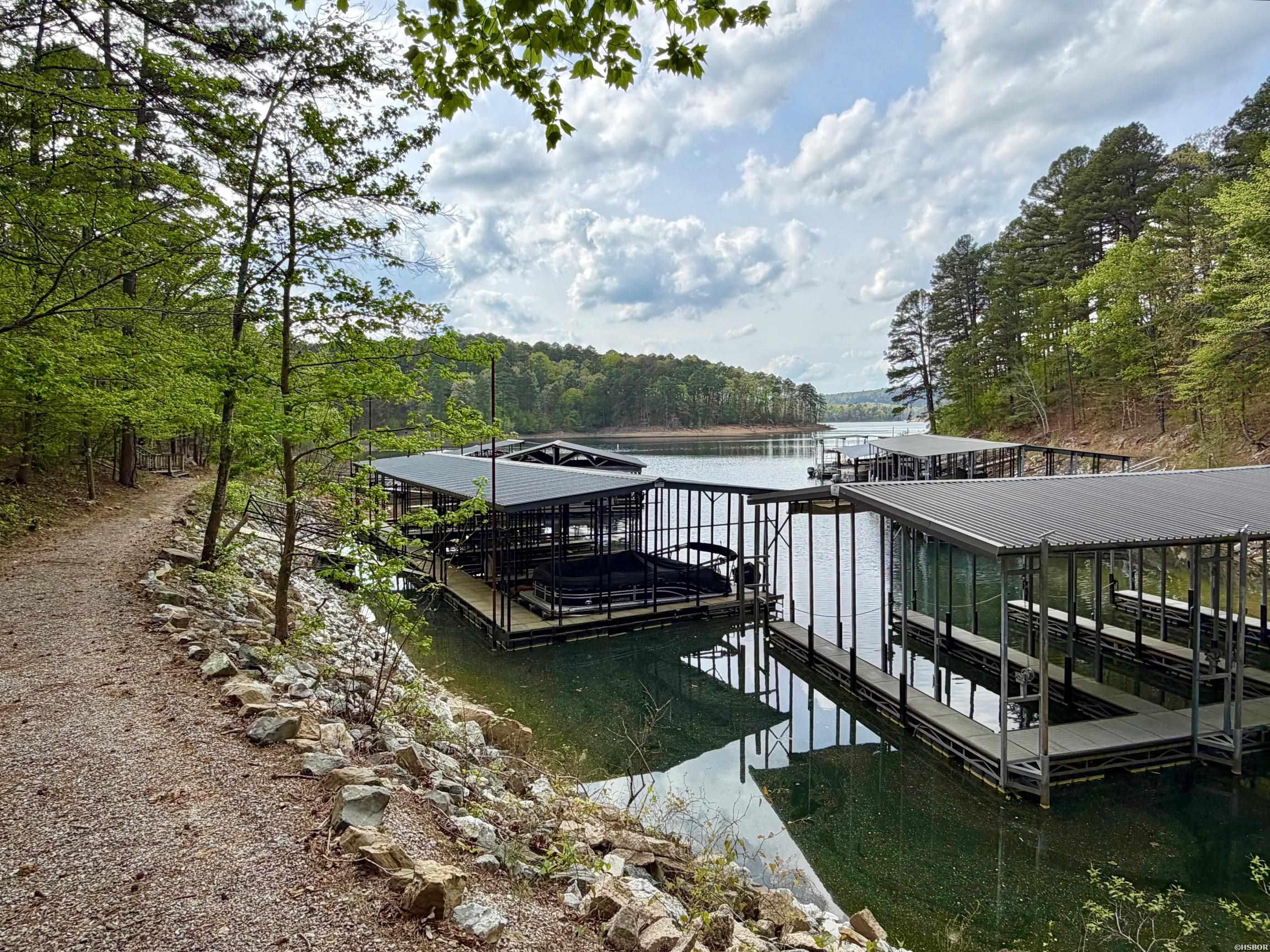 000 Lake Ouachita Trail Property Photo 5