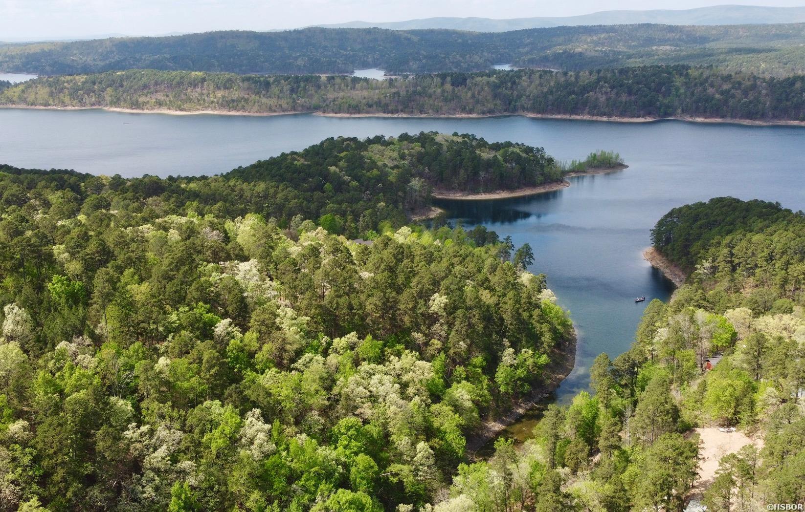 000 Lake Ouachita Trail Property Photo 6