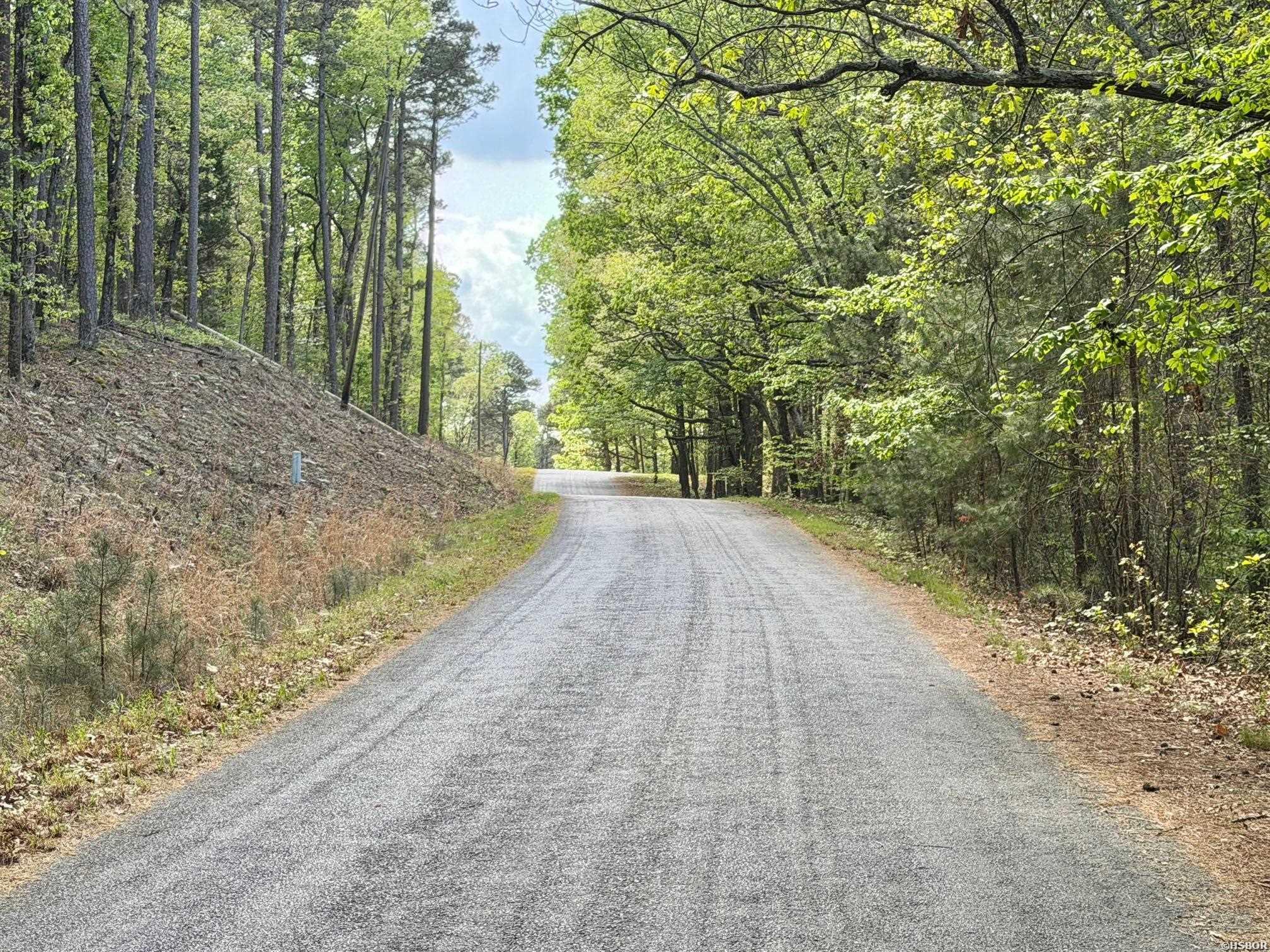000 Lake Ouachita Trail Property Photo 8