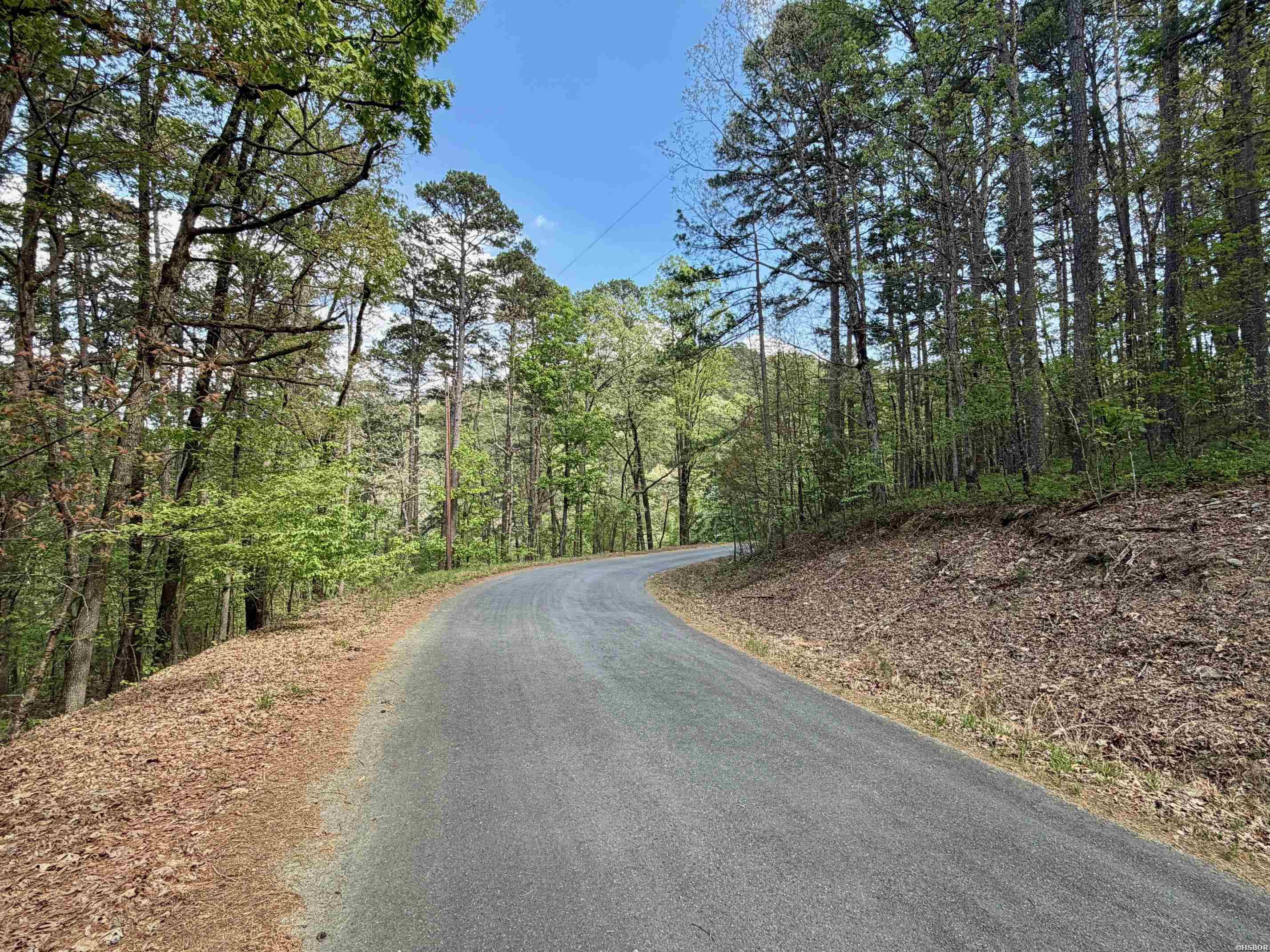 000 Lake Ouachita Trail Property Photo 9