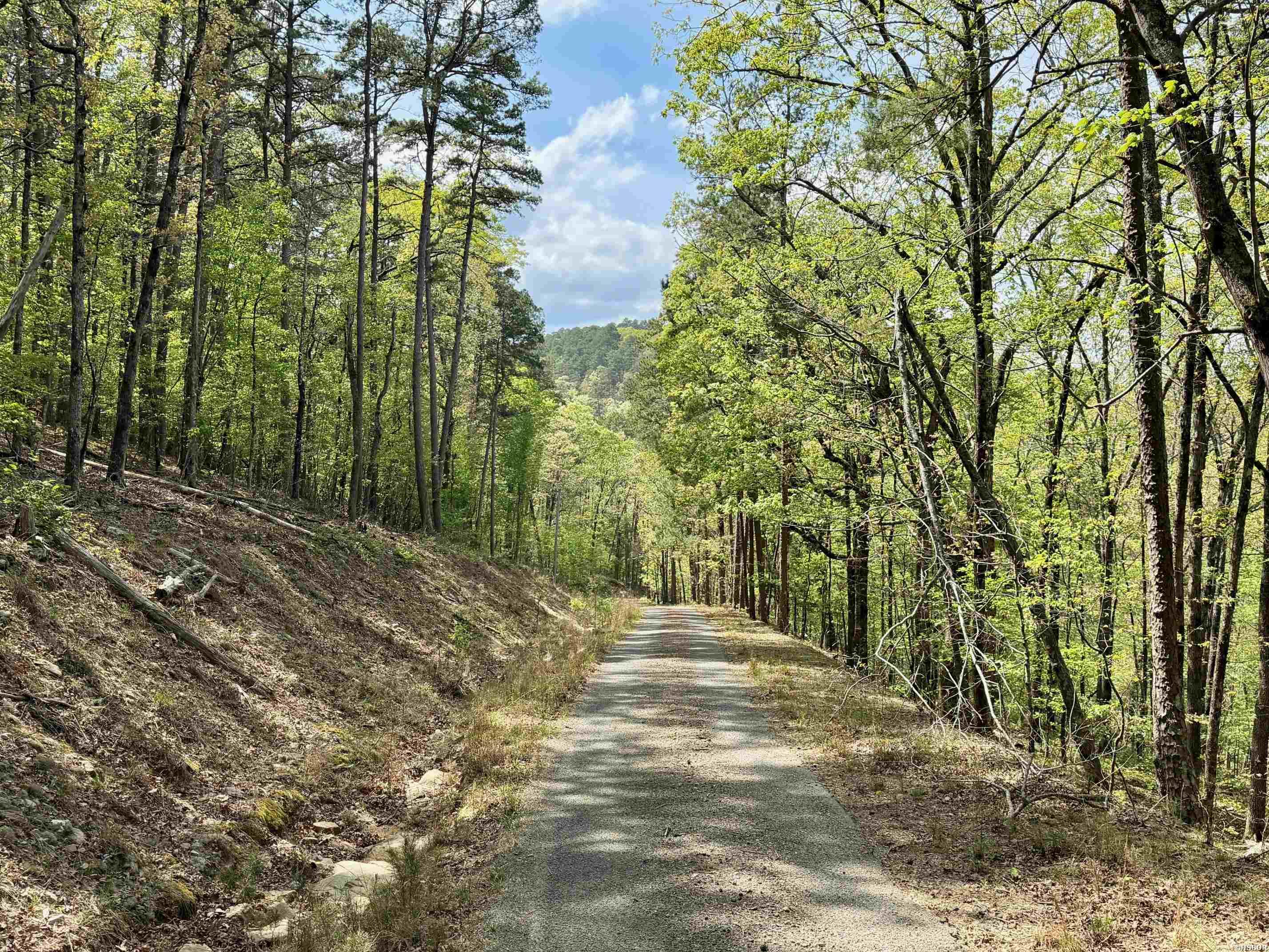 000 Lake Ouachita Trail Property Photo 10