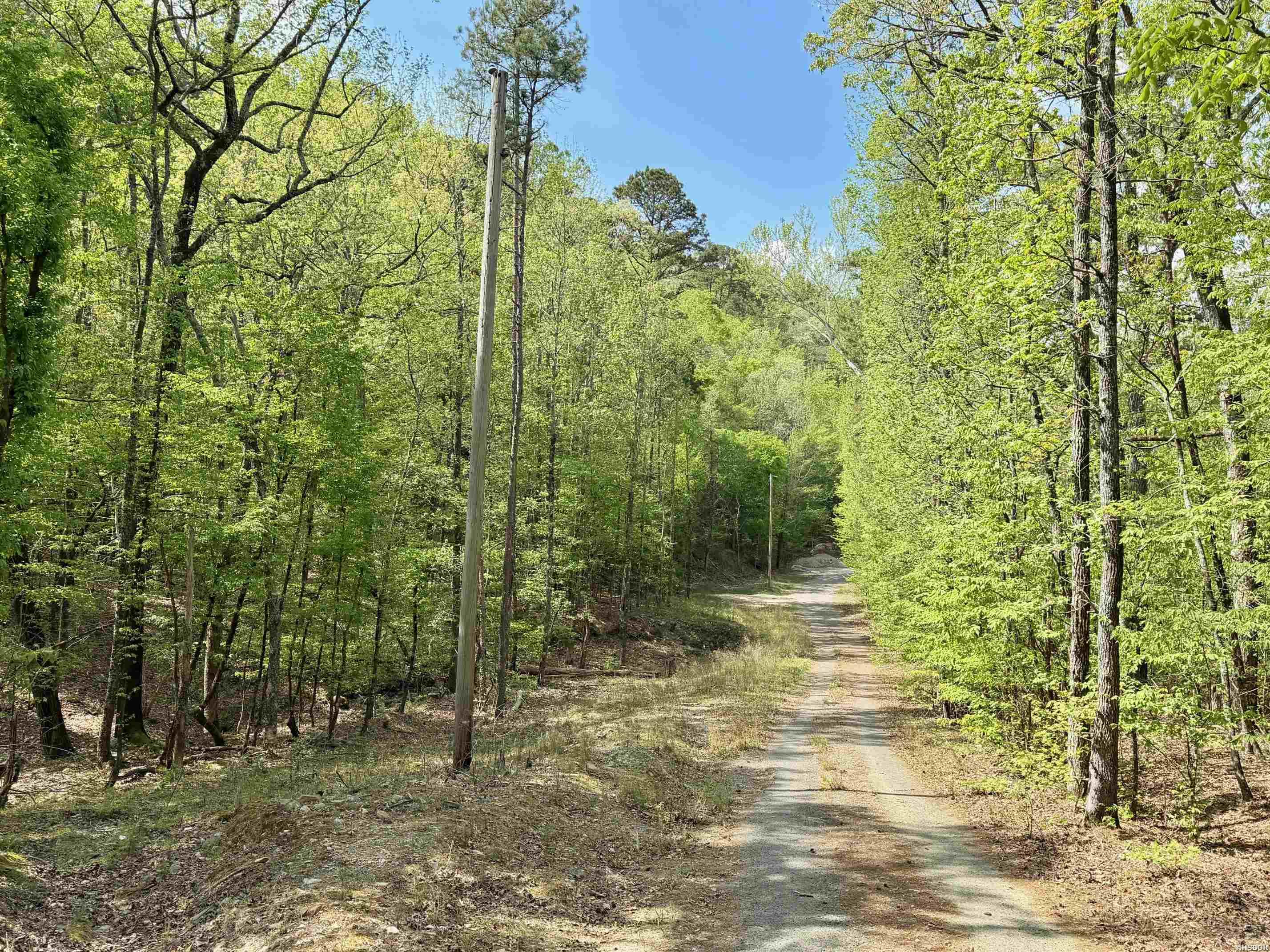 000 Lake Ouachita Trail Property Photo 11