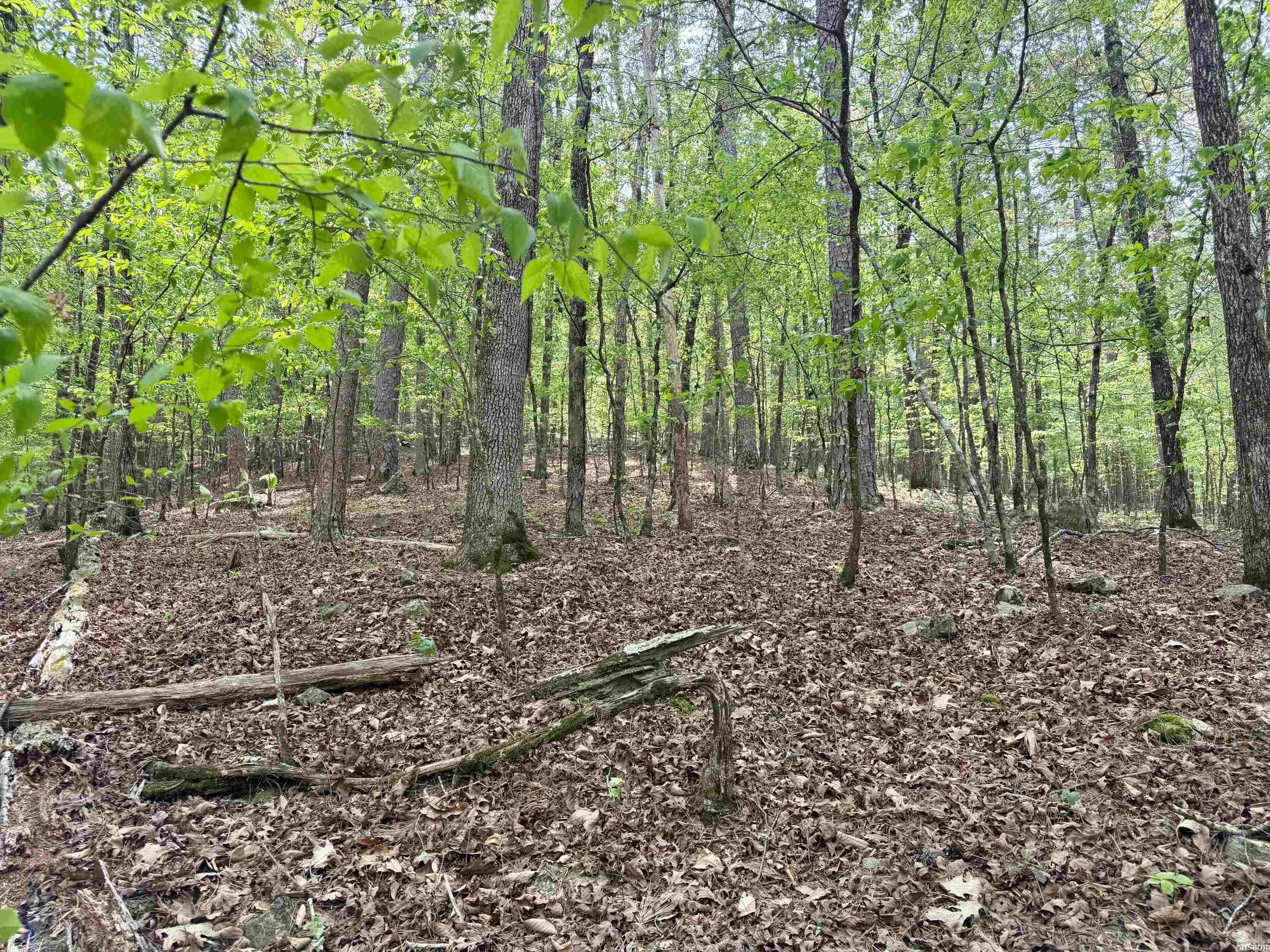 000 Lake Ouachita Trail Property Photo 12