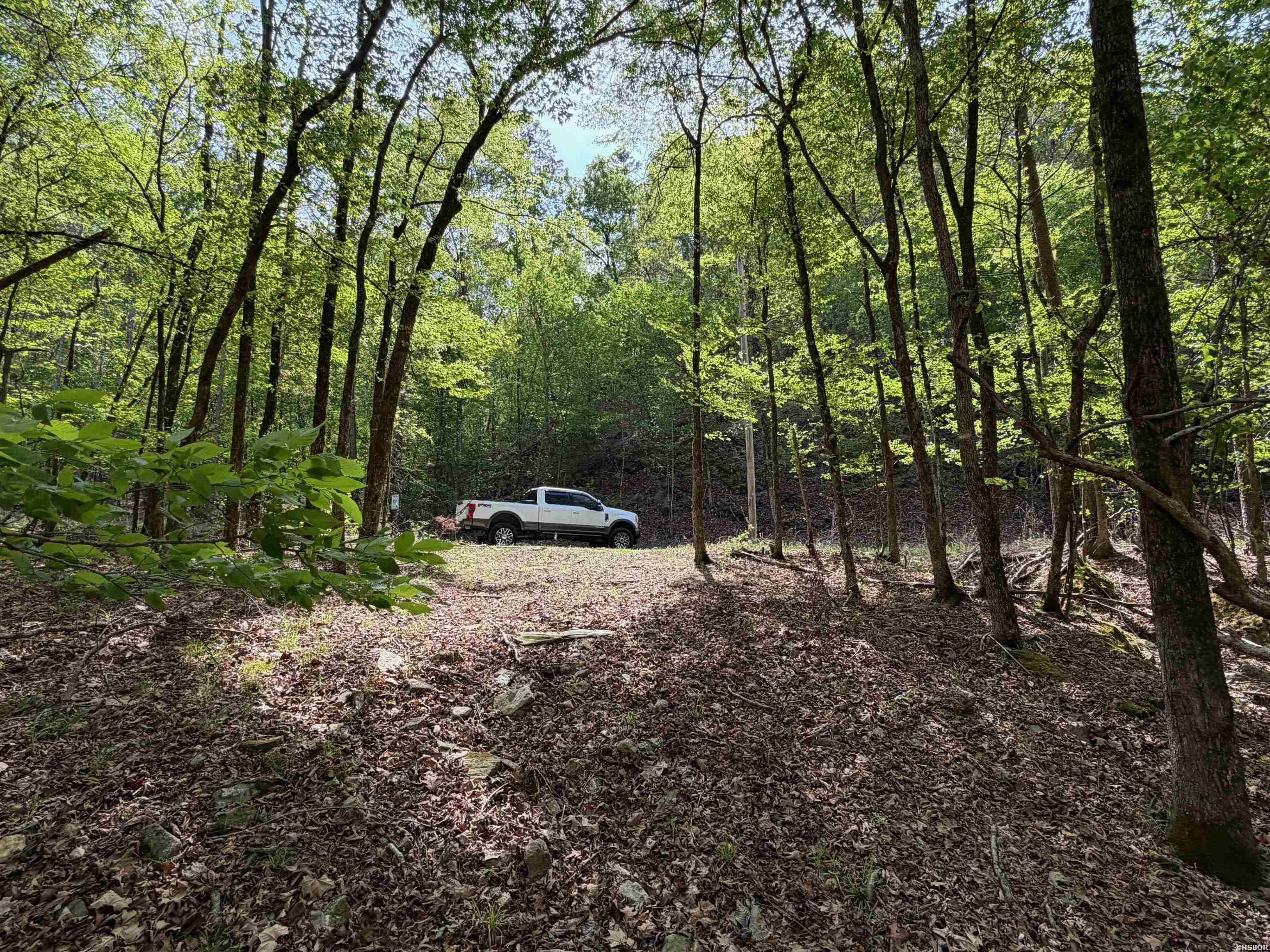 000 Lake Ouachita Trail Property Photo 13
