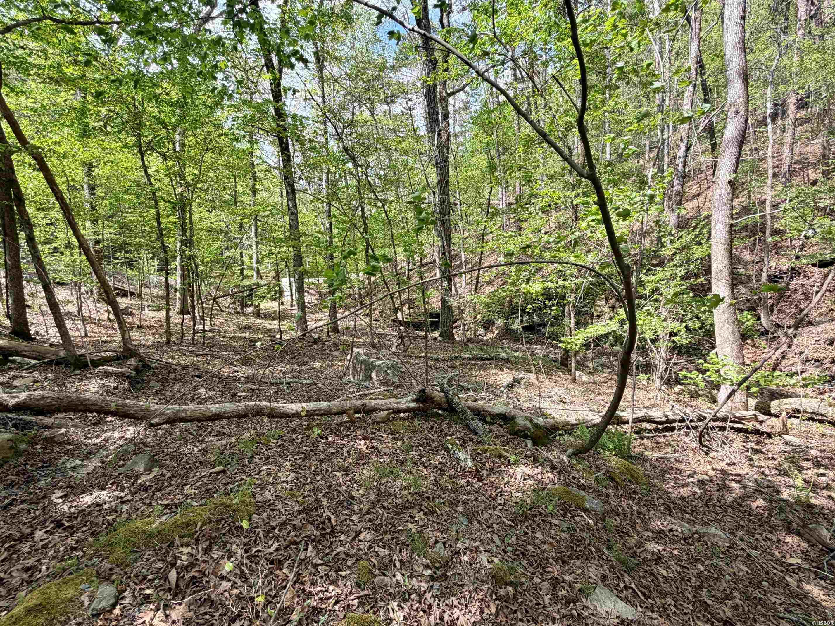 000 Lake Ouachita Trail Property Photo 14