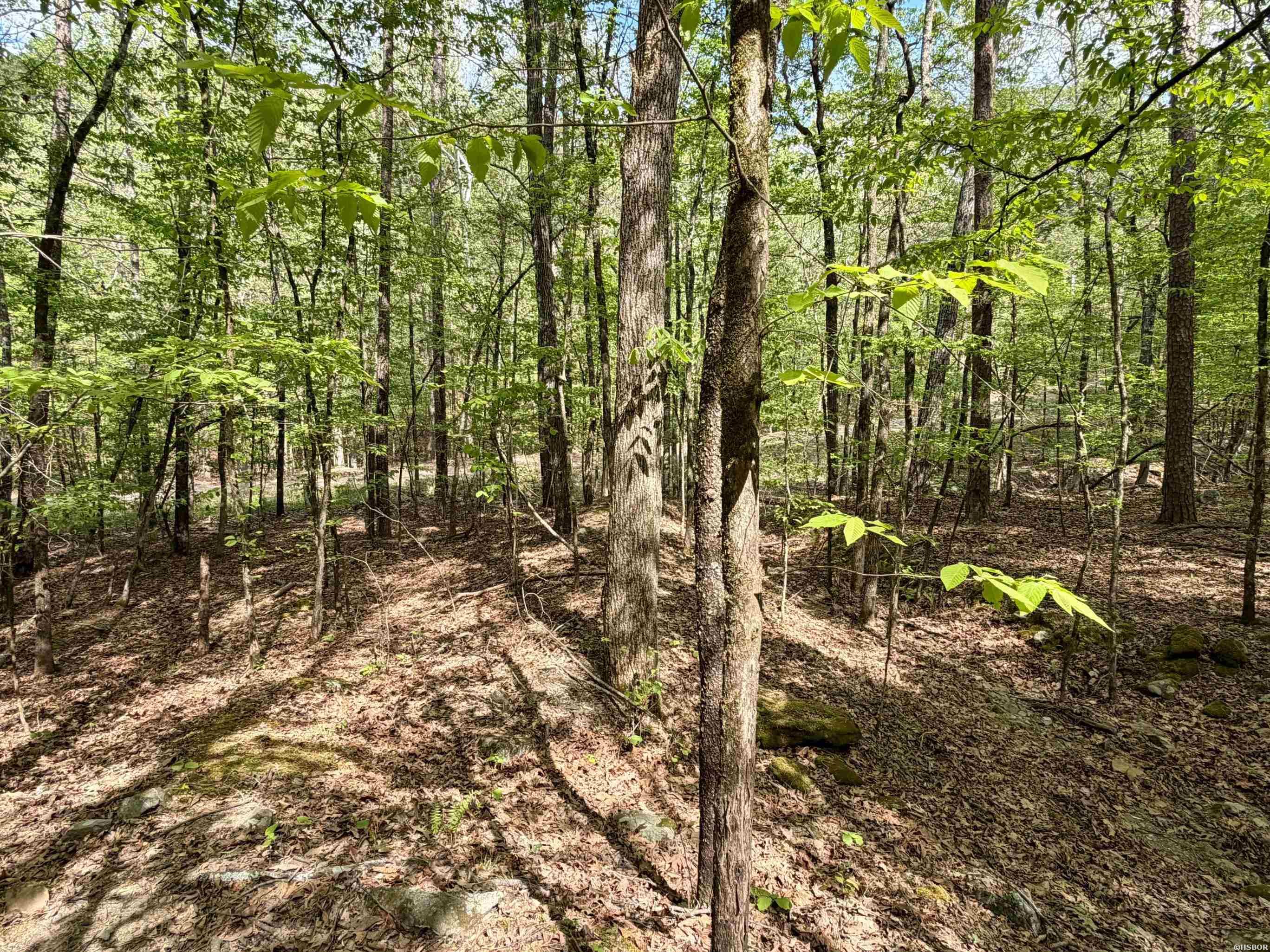 000 Lake Ouachita Trail Property Photo 15