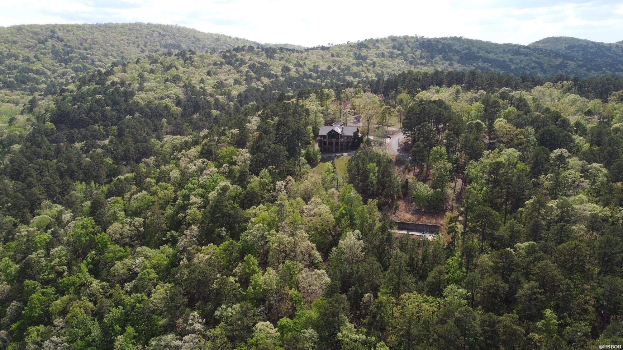 000 Lake Ouachita Trail Property Photo 16