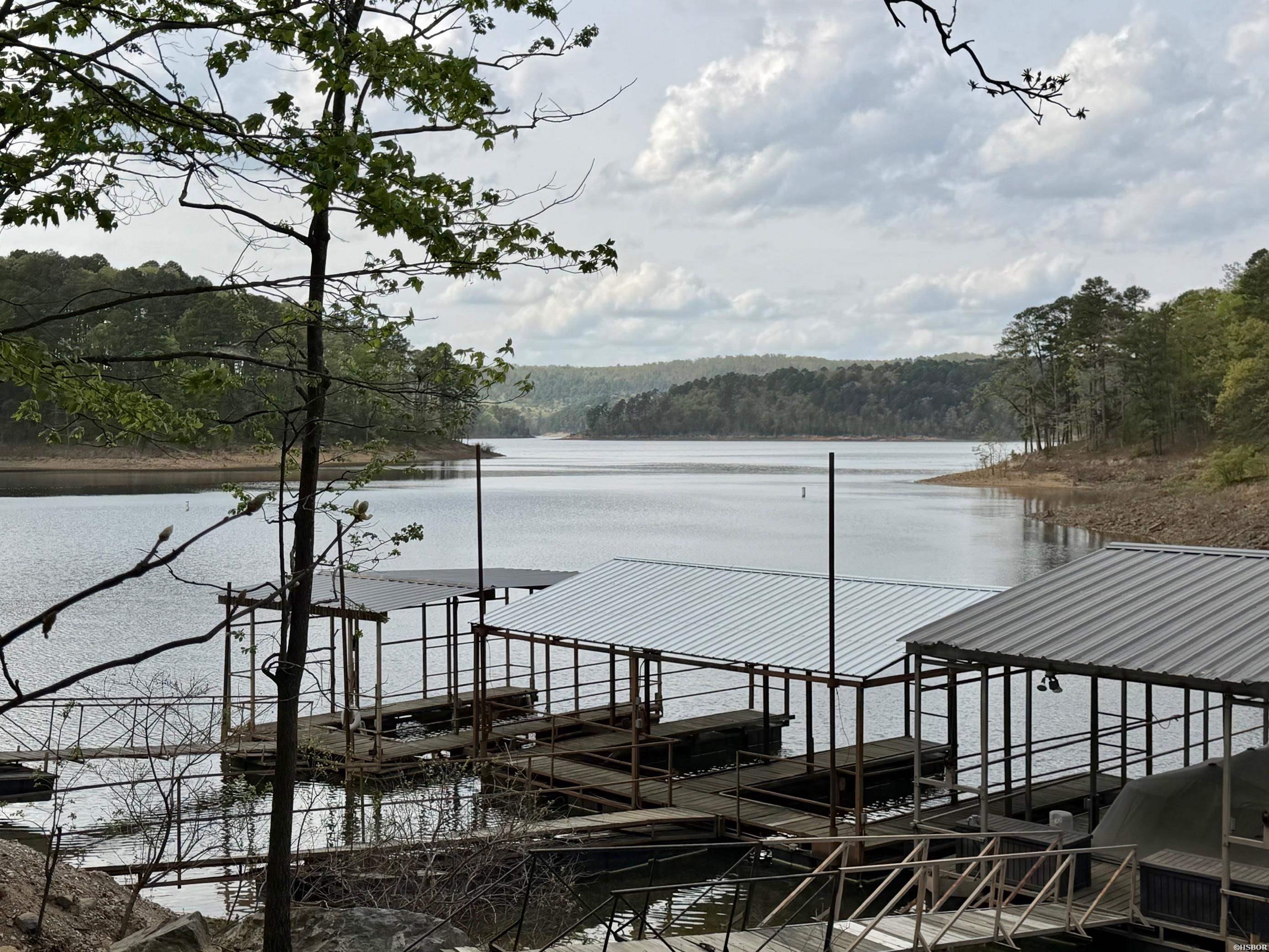 000 Lake Ouachita Trail Property Photo 19