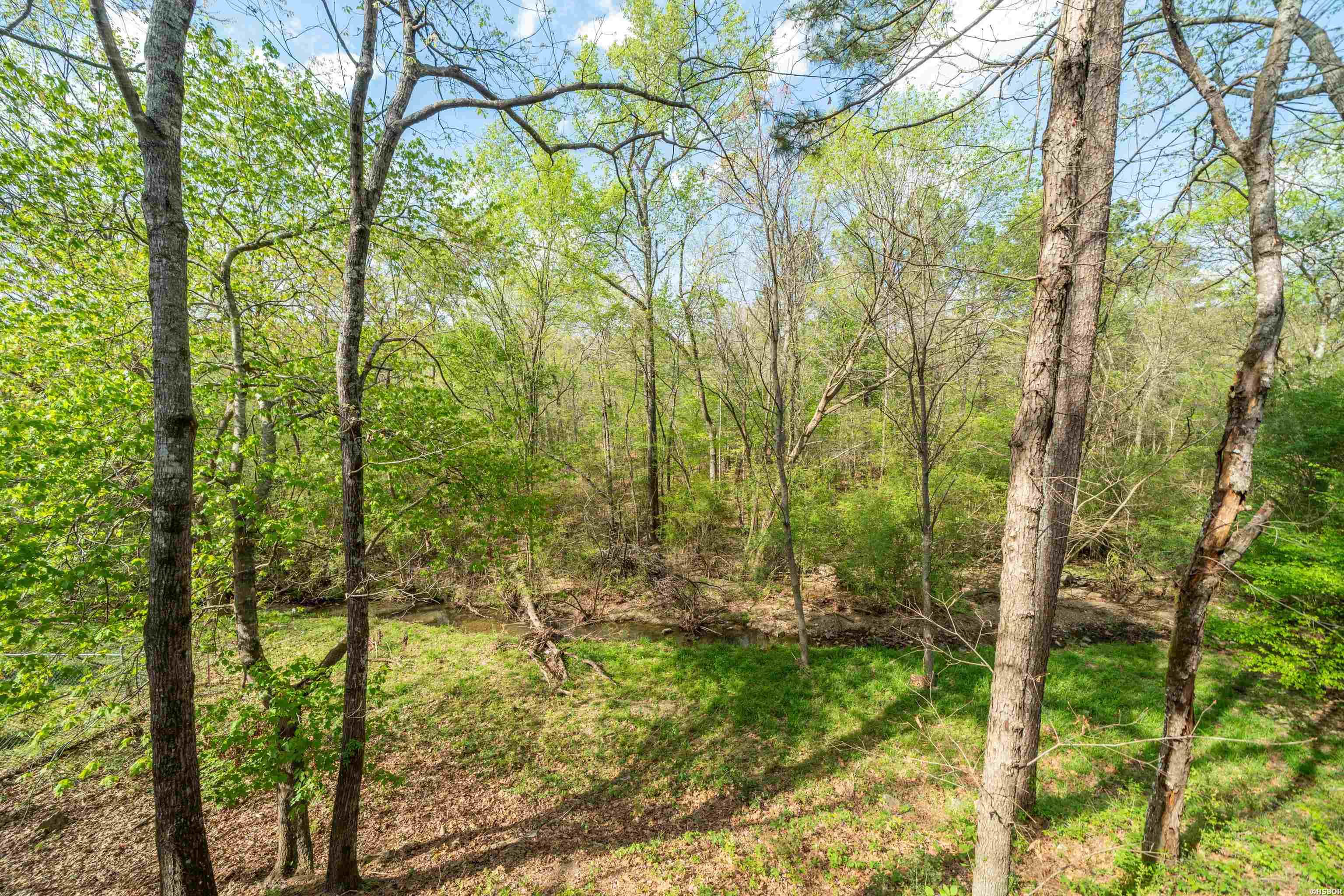 117 Forest View Circle Property Photo 42