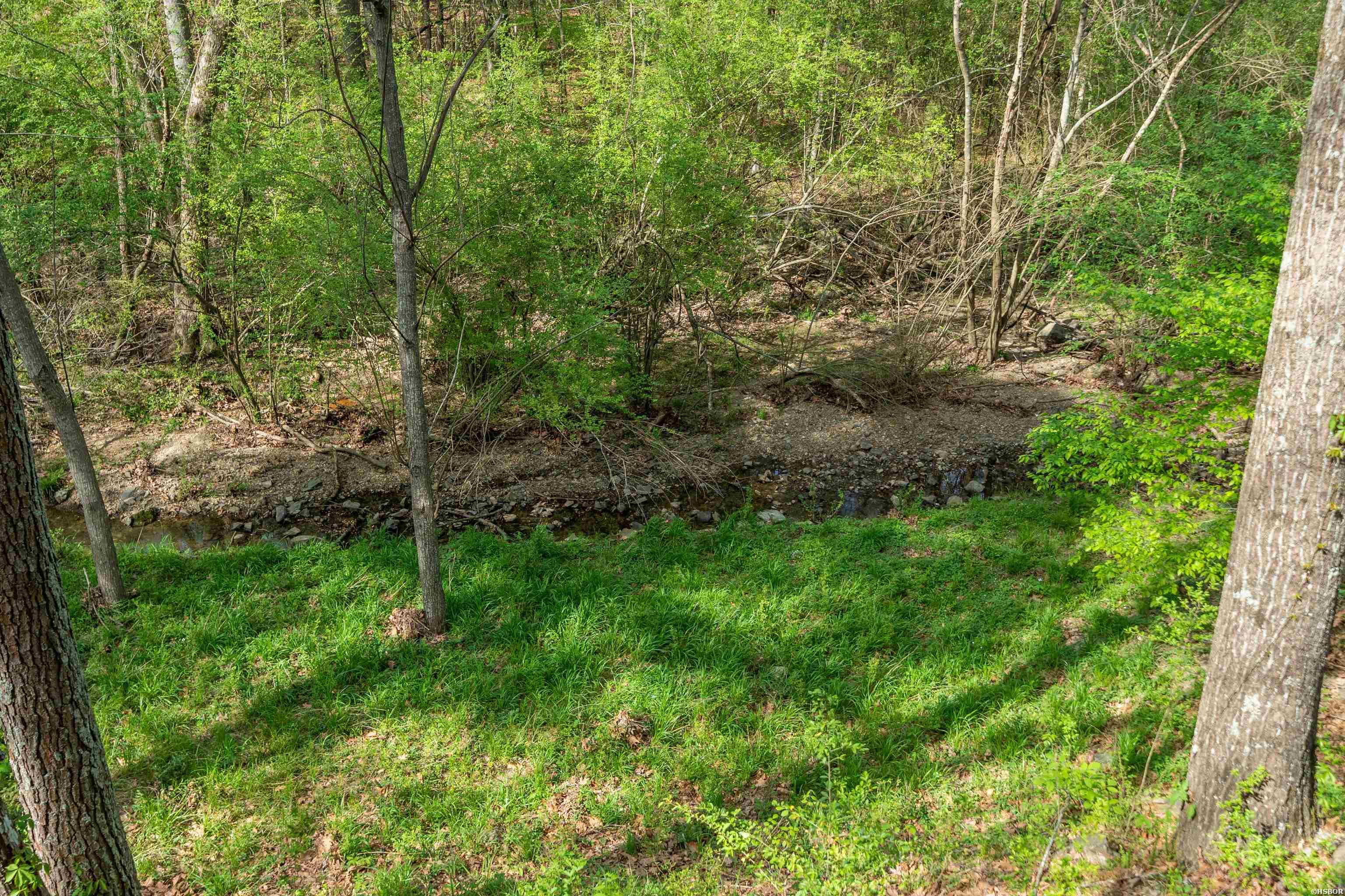 117 Forest View Circle Property Photo 43