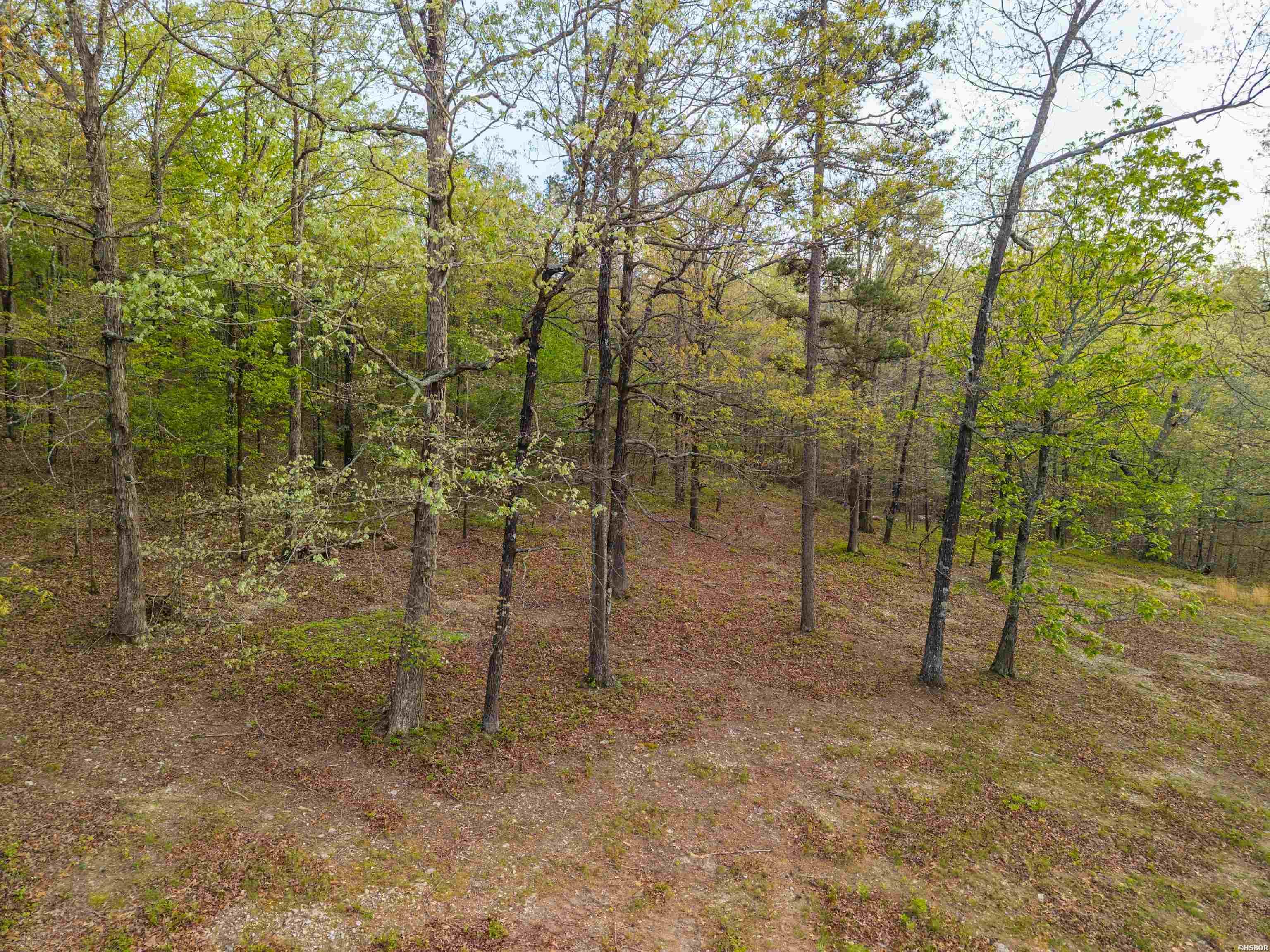 Tbd Northlake Cove Property Photo 16