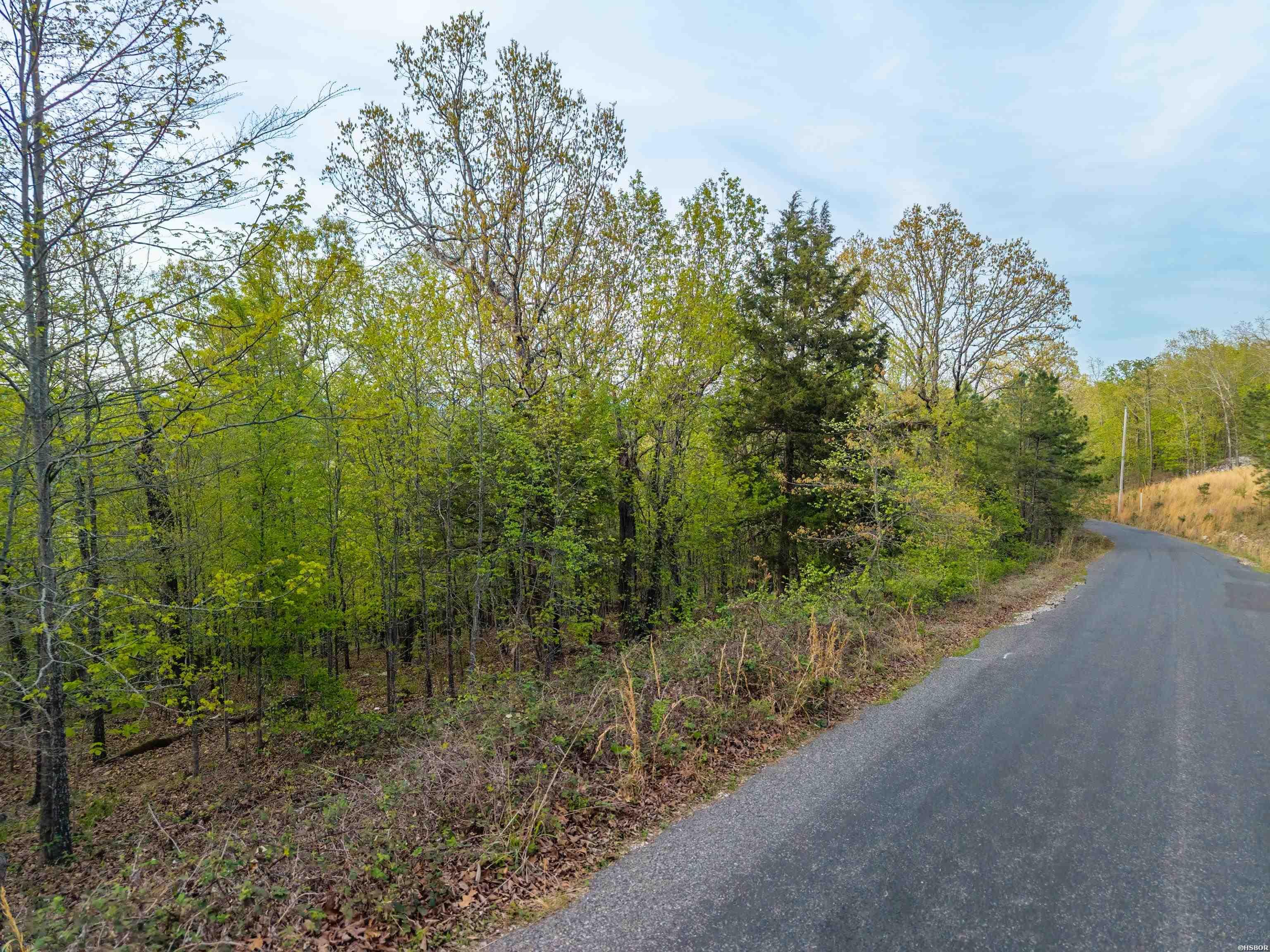 Tbd Northlake Cove Property Photo 18