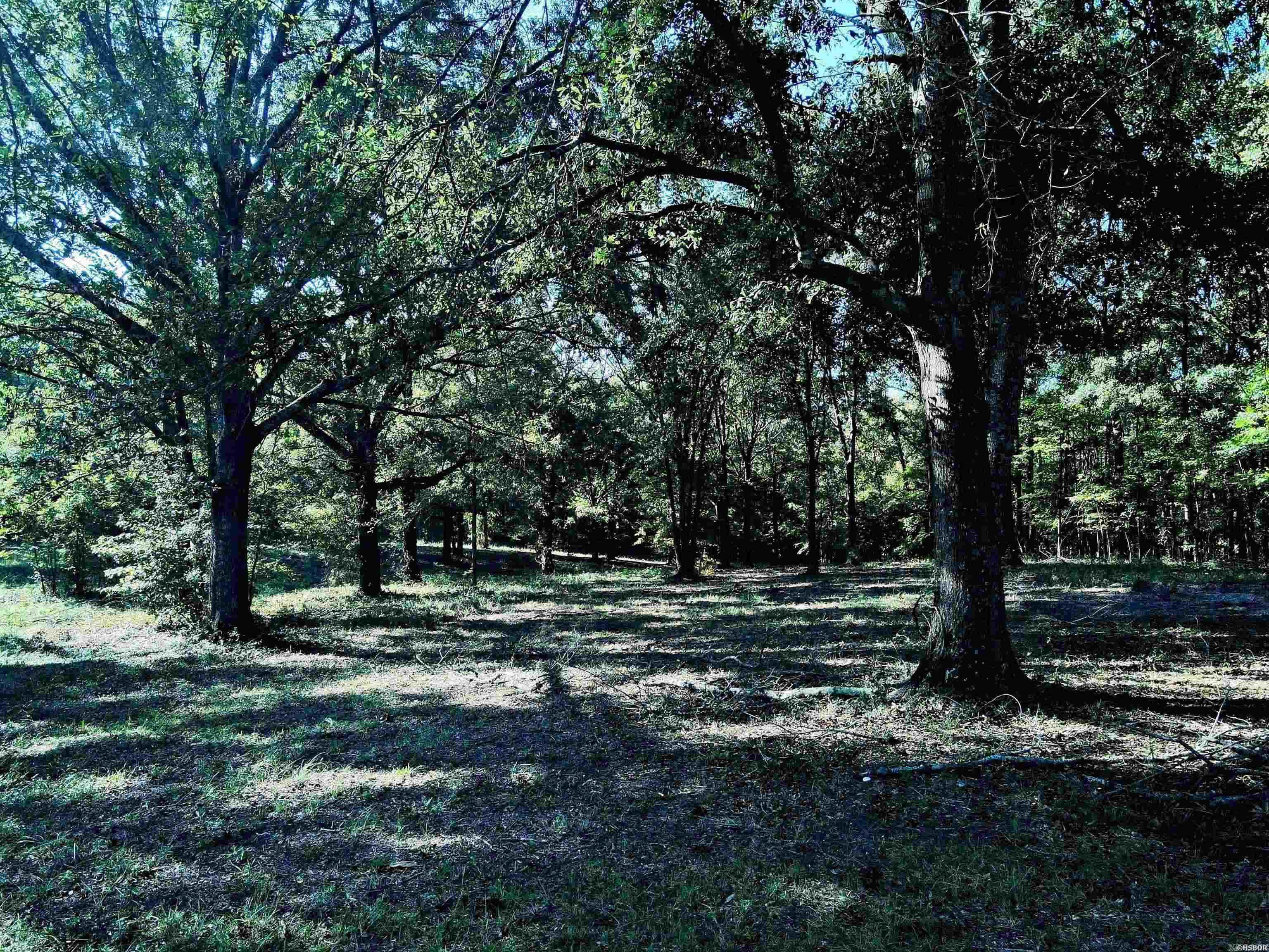 Tbd Scottish Trail Property Photo 9