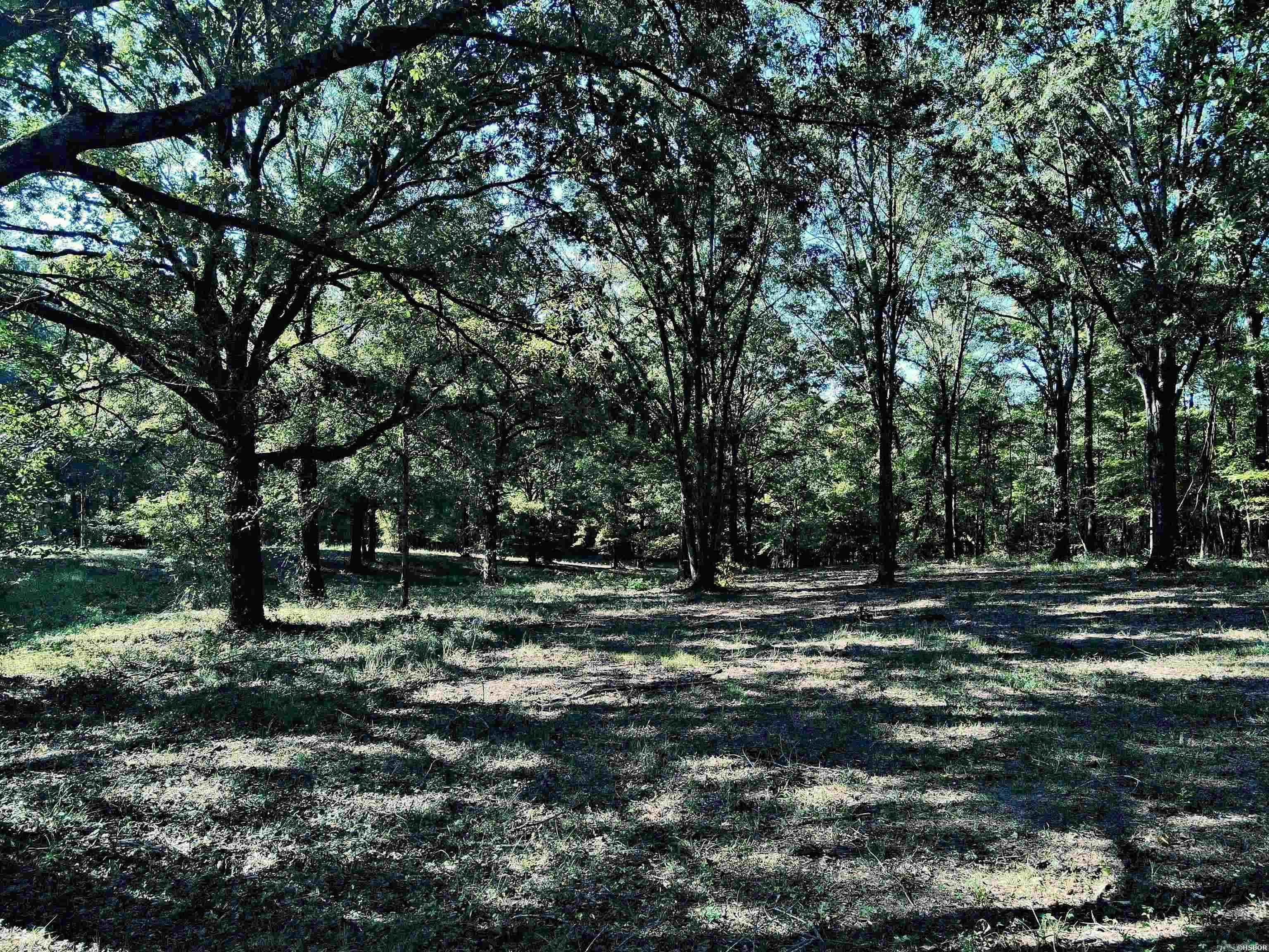 Tbd Scottish Trail Property Photo 12