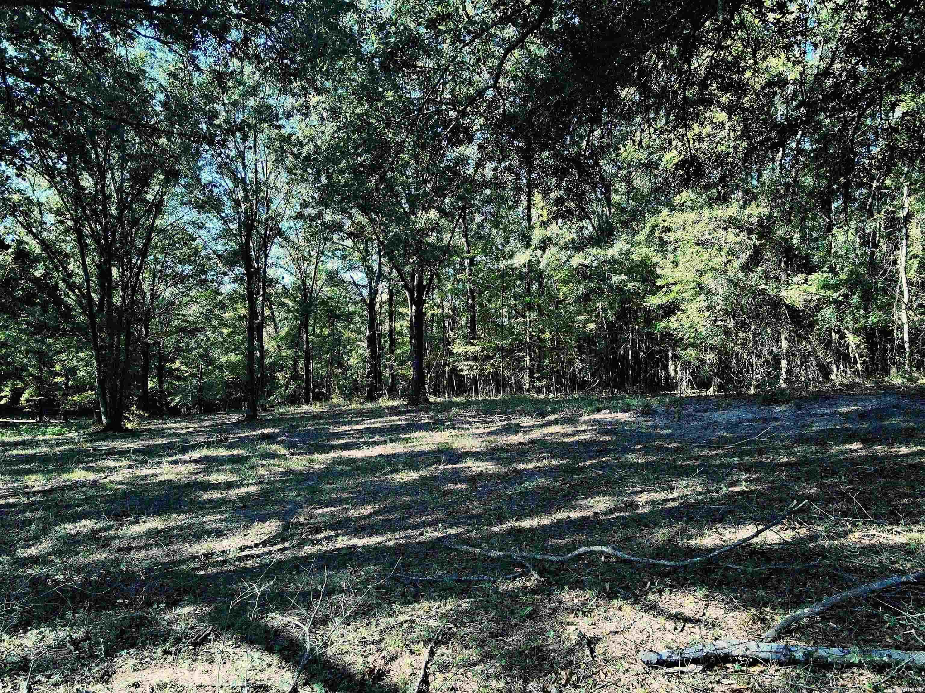 Tbd Scottish Trail Property Photo 15