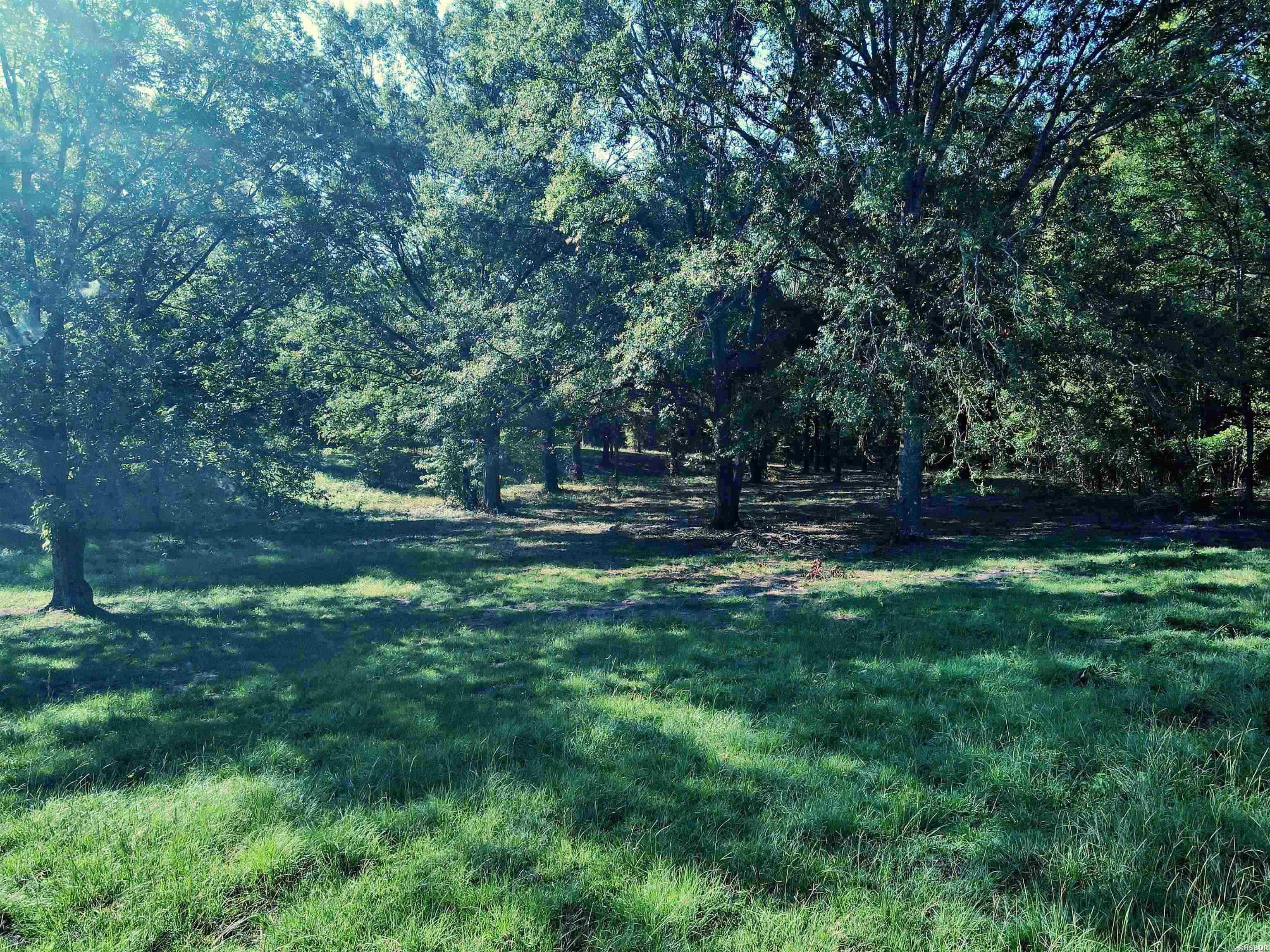 Tbd Scottish Trail Property Photo 16