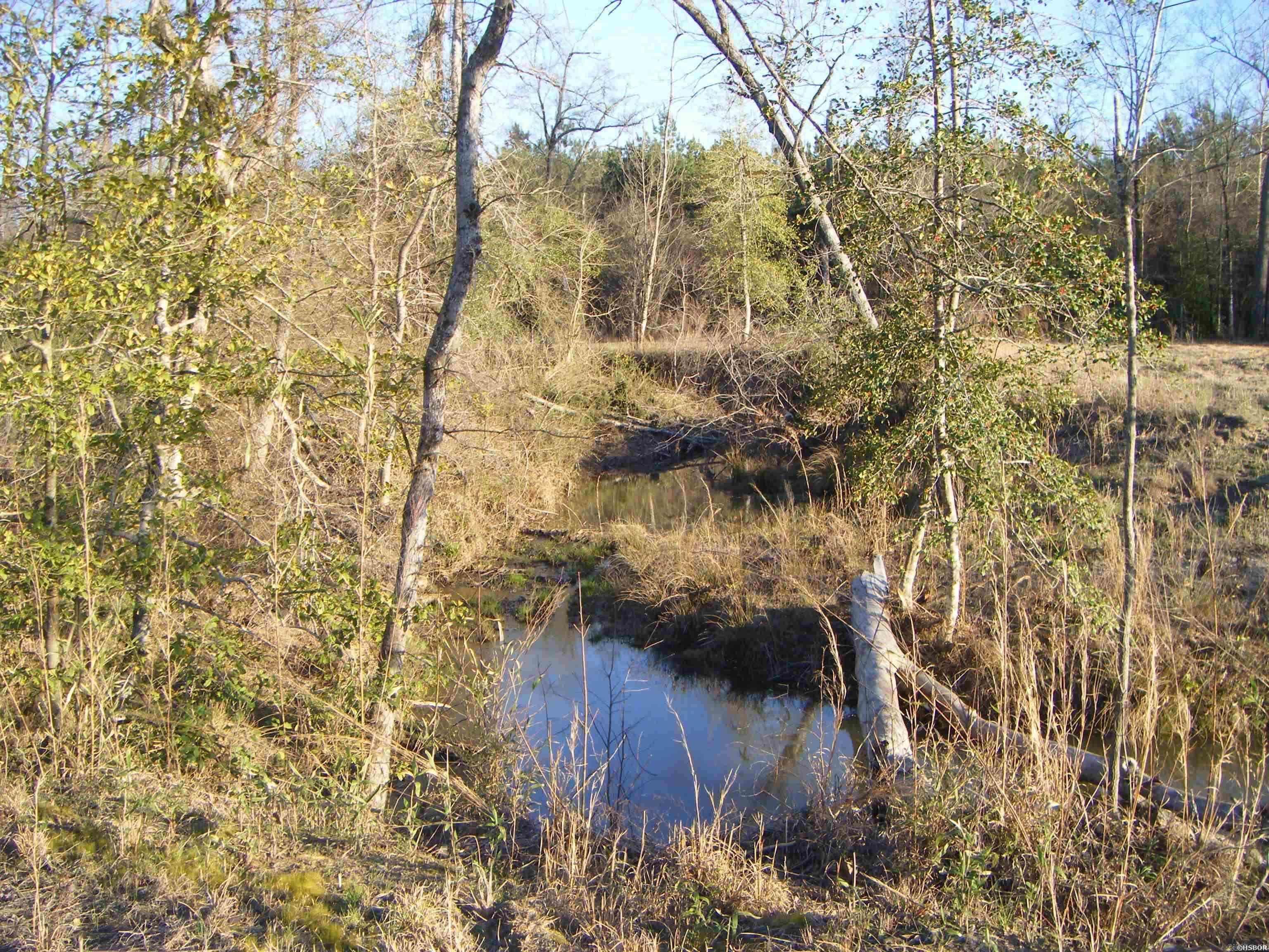 5633 N Hwy 53 Property Photo 18