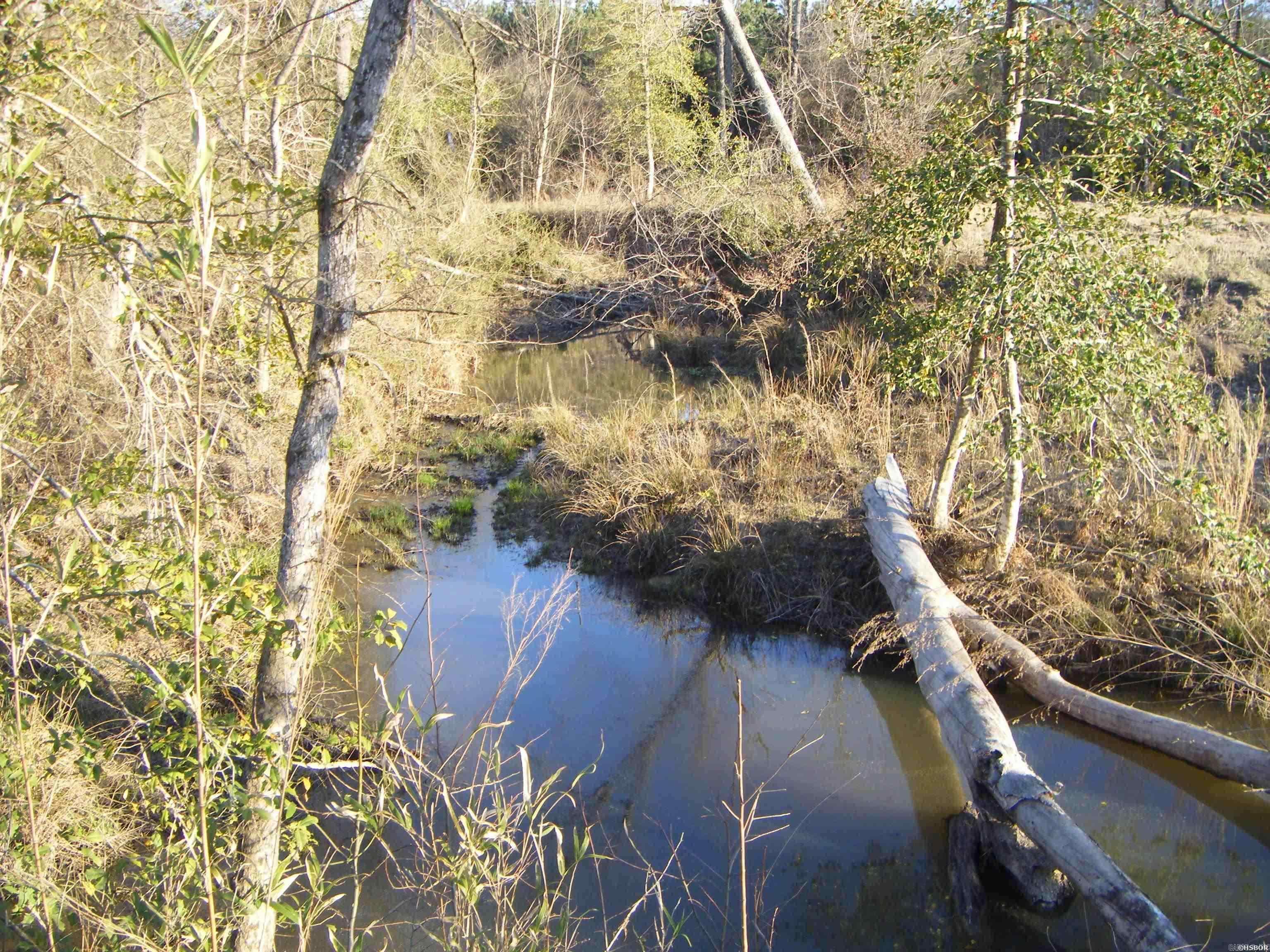 5633 N Hwy 53 Property Photo 19