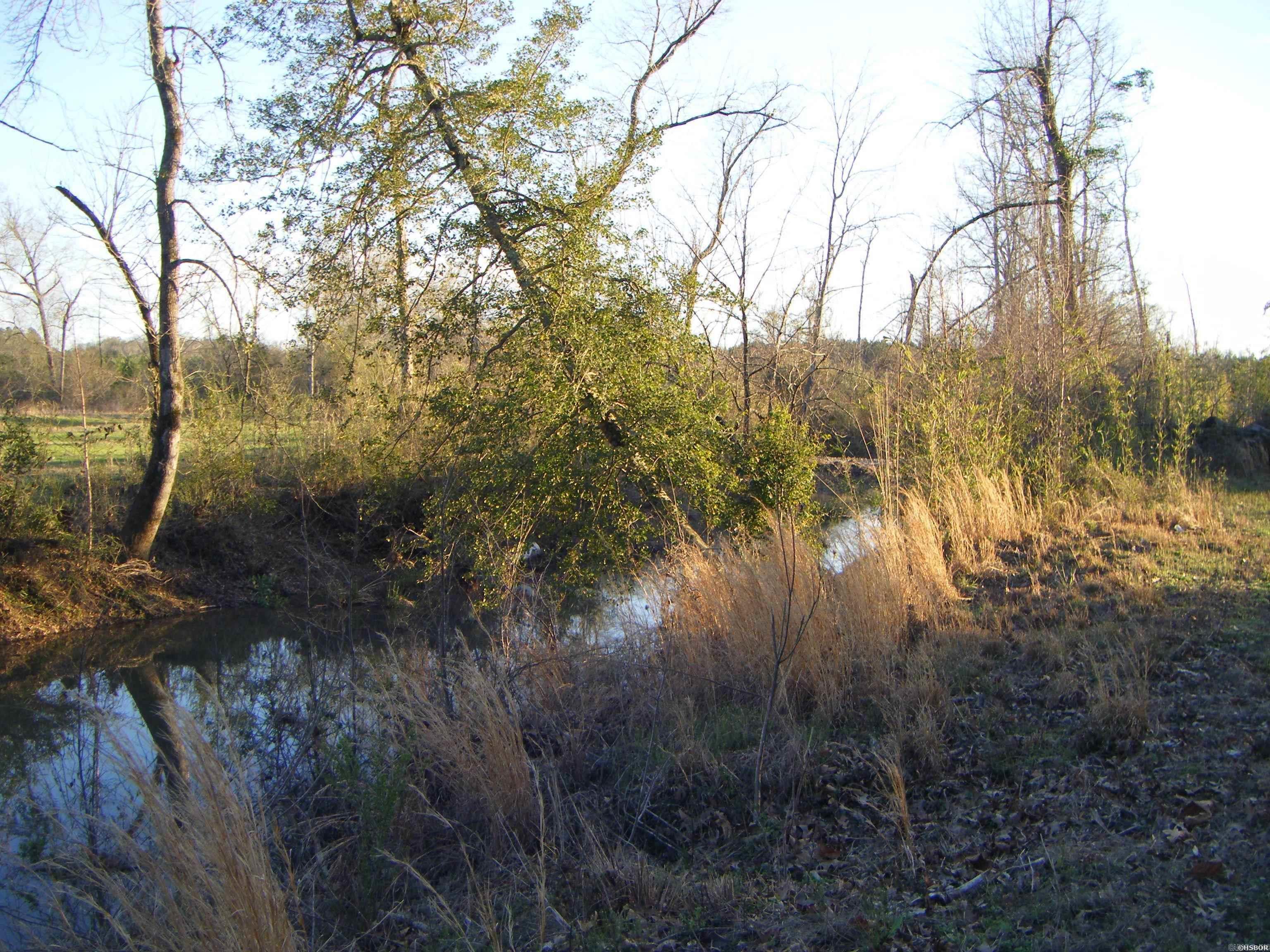 5633 N Hwy 53 Property Photo 28